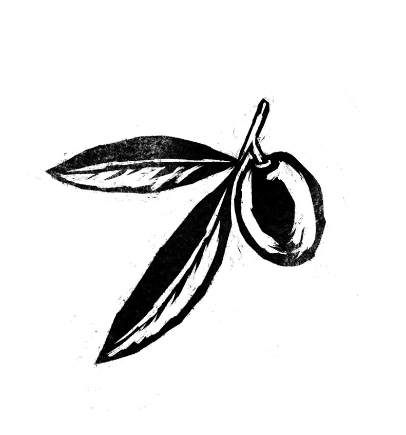 A black and white illustration of an olive sprig