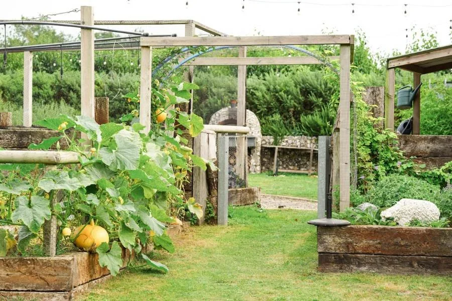 The path through to the kitchen garden.