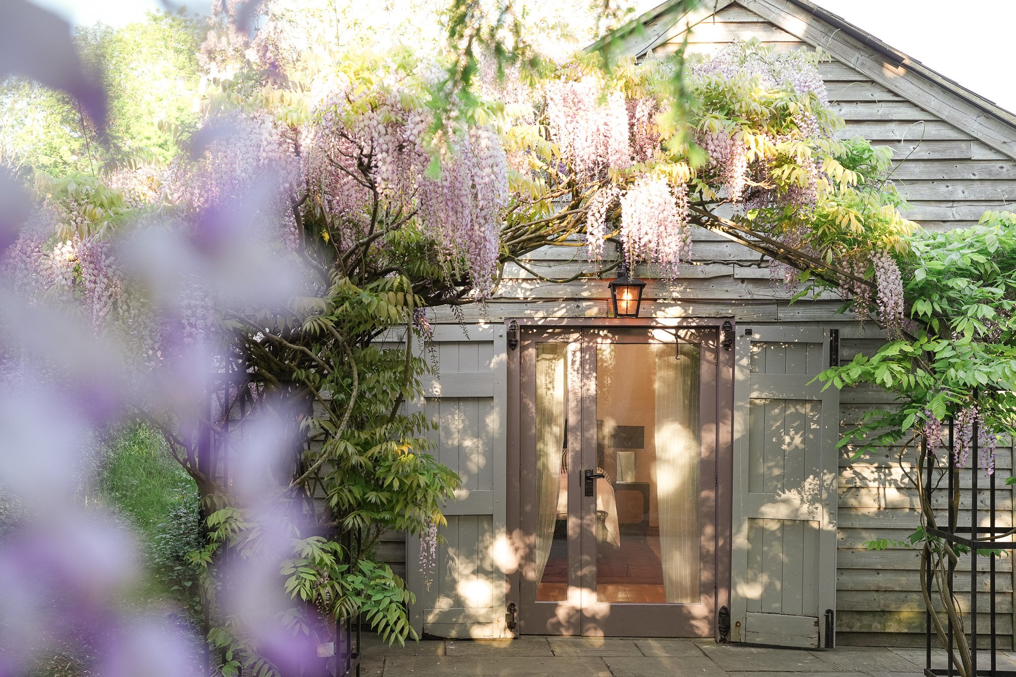 Wisteria covered doorway