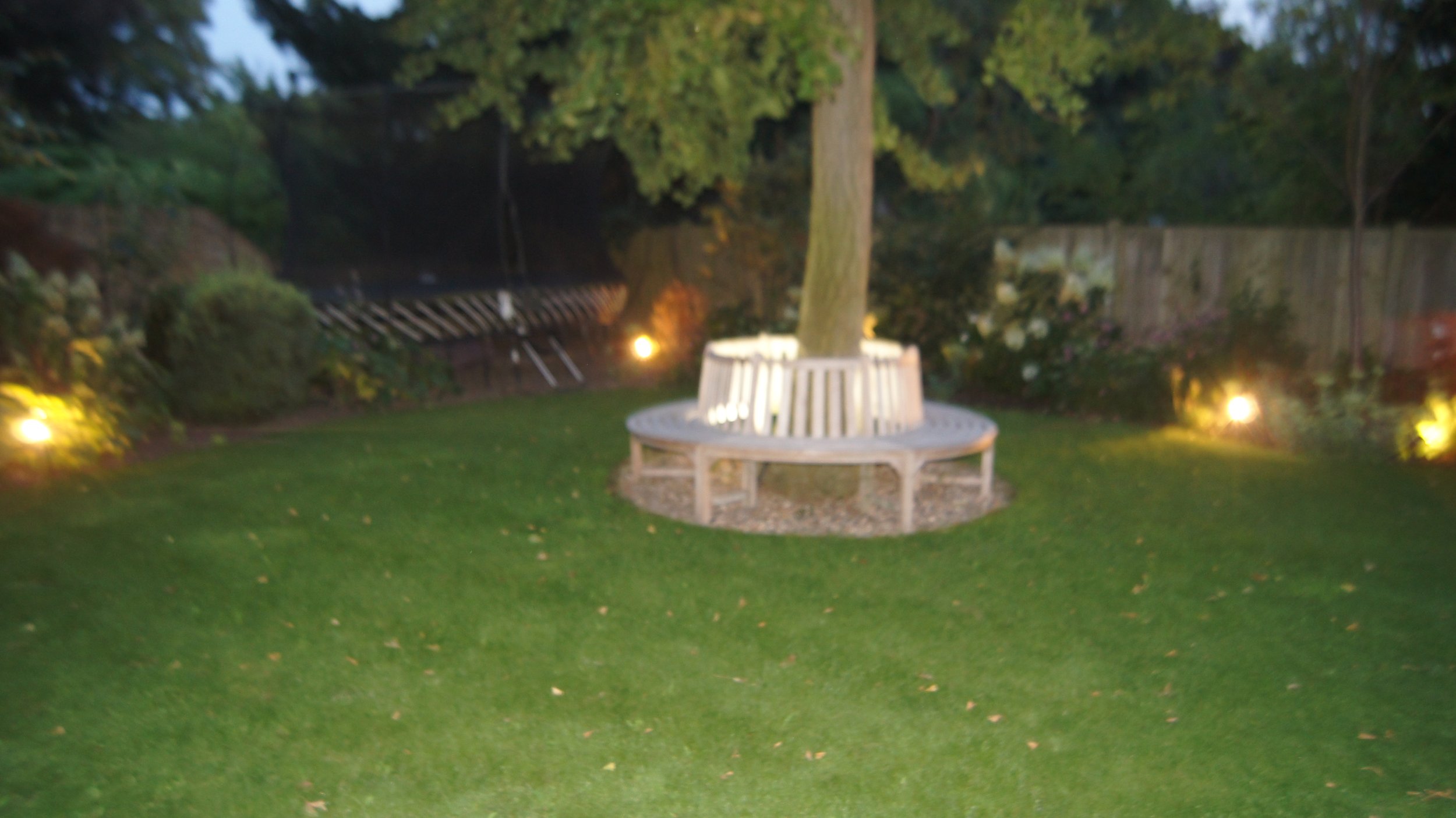A backyard garden with a large tree surrounded by a circular wooden bench. The garden has a grassy lawn, plants, and a wooden fence. Small lights illuminate the area at dusk.