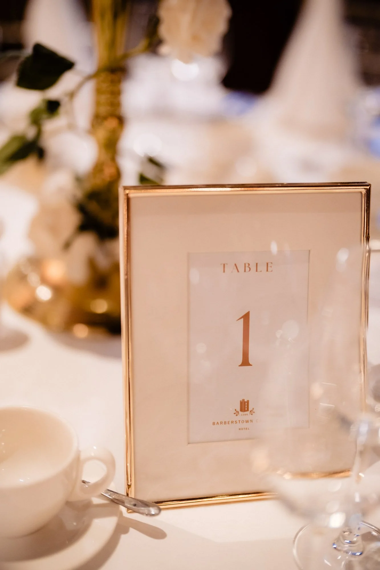 Barberstown-Castle-black-tie-wedding-dining-room-photography-annie-kheffache-1.jpg