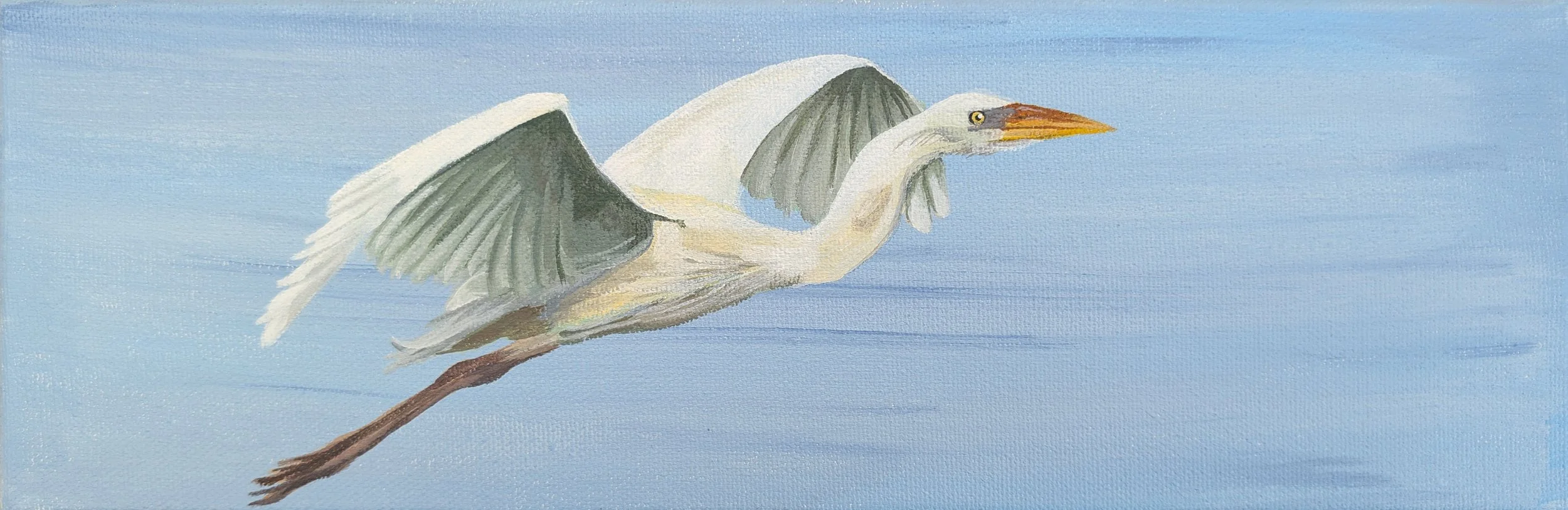 Flying Egret.jpg