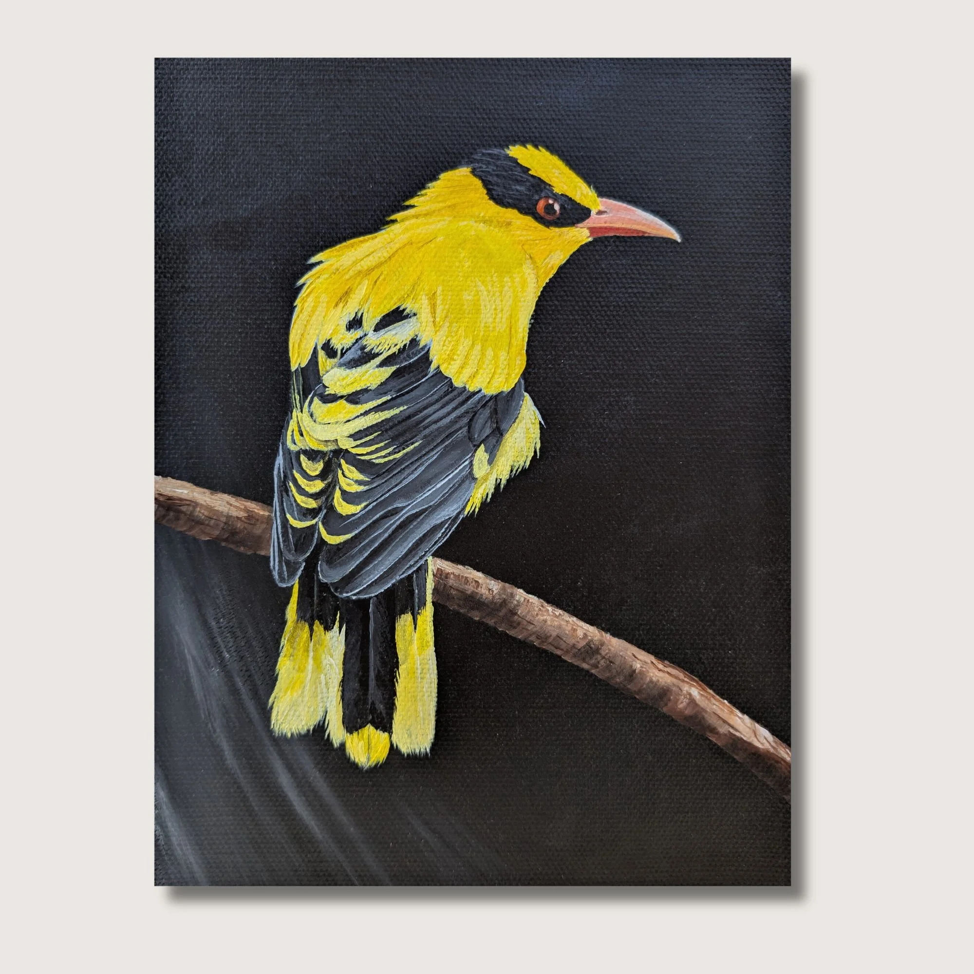 Black Naped Oriole Print Shop Img.jpg
