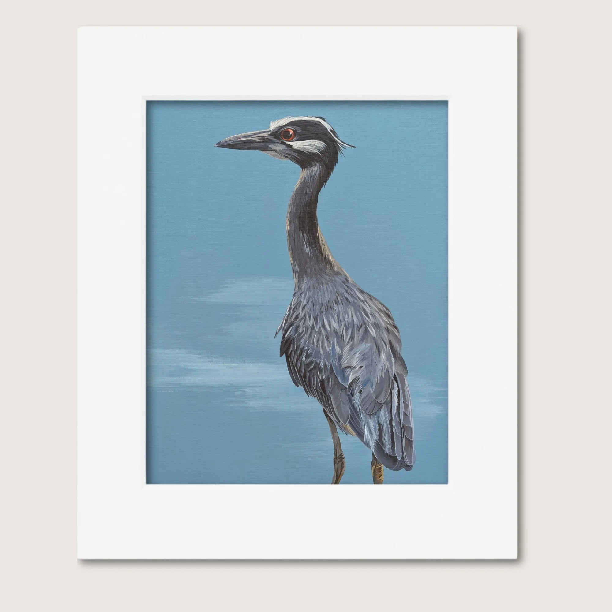 Night Heron Matted Shop Img.jpg