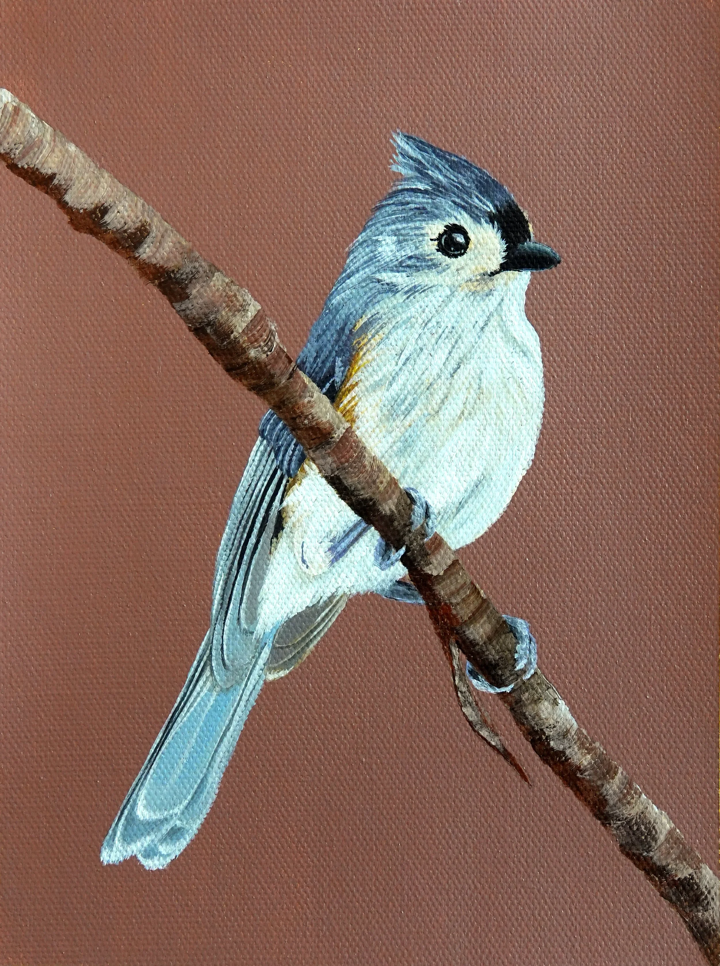 tufted titmouse painting
