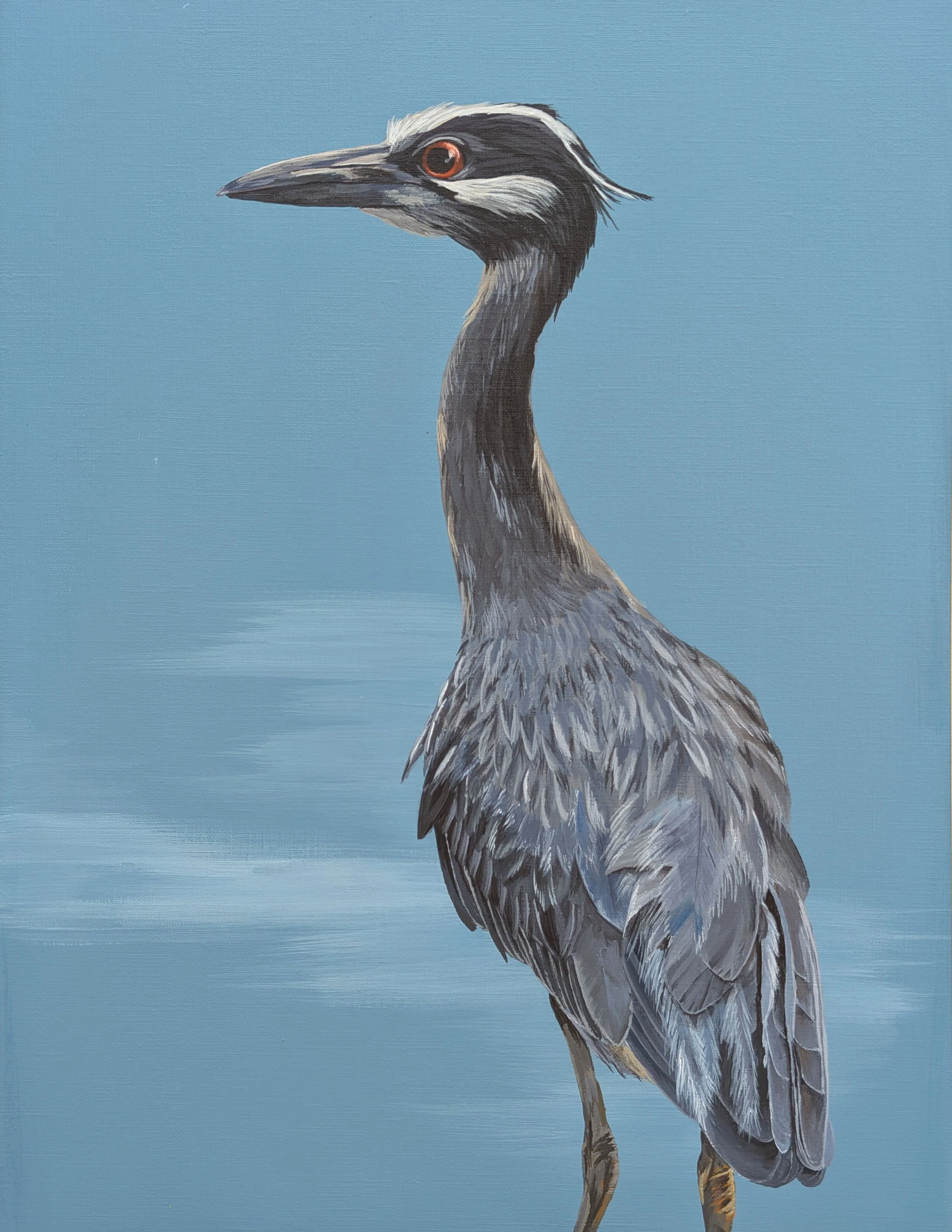 yellow crowned night heron painting