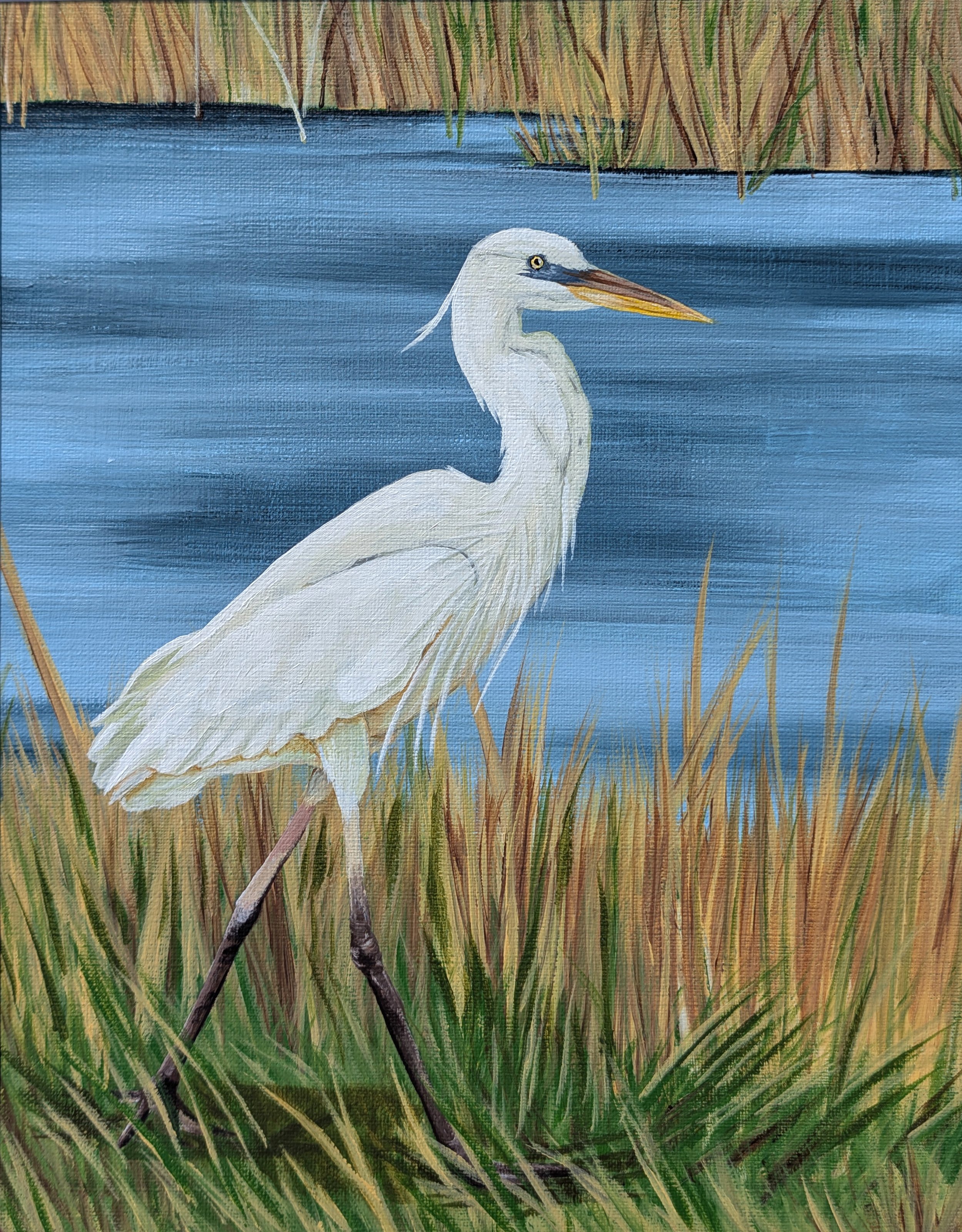 Great Egret