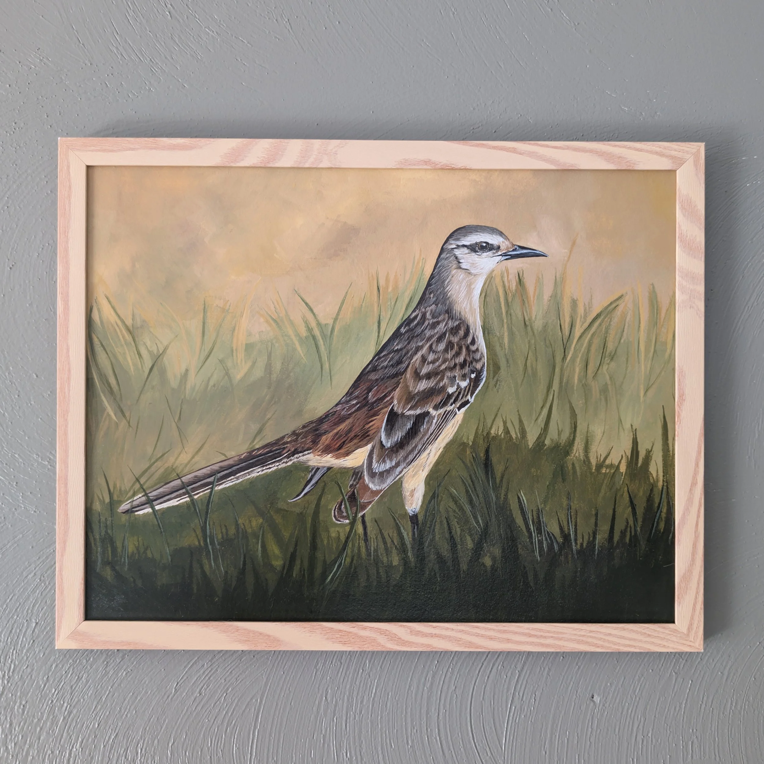 Northern Mockingbird Painting