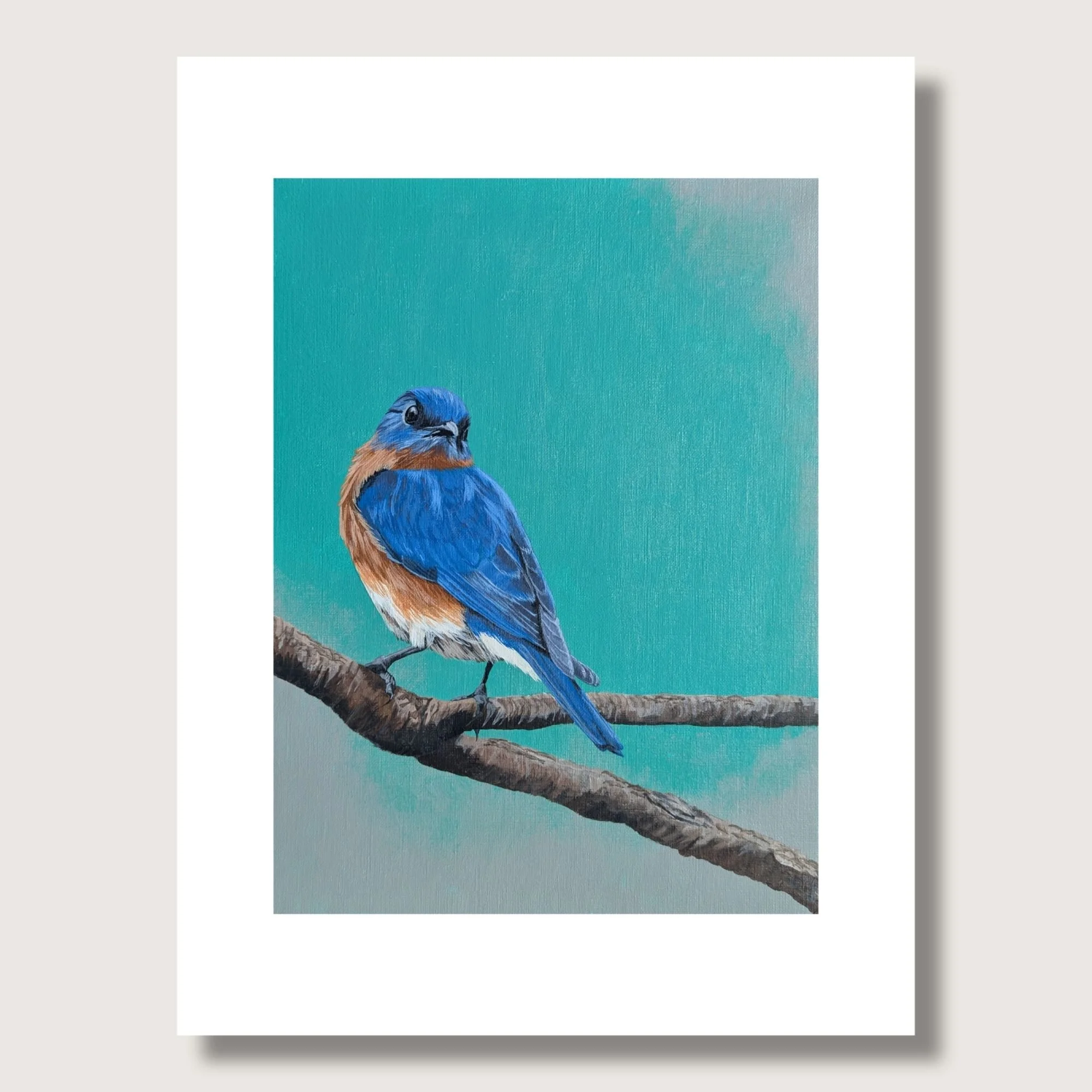 Eastern Bluebird Painting