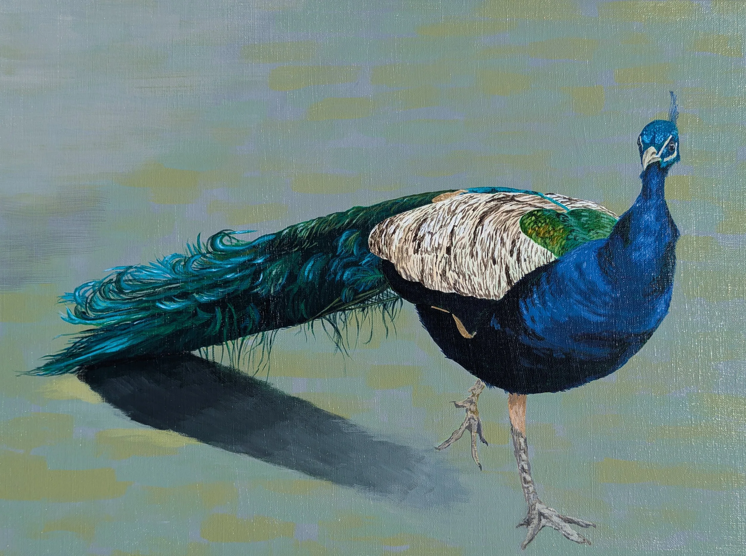 peacock painting