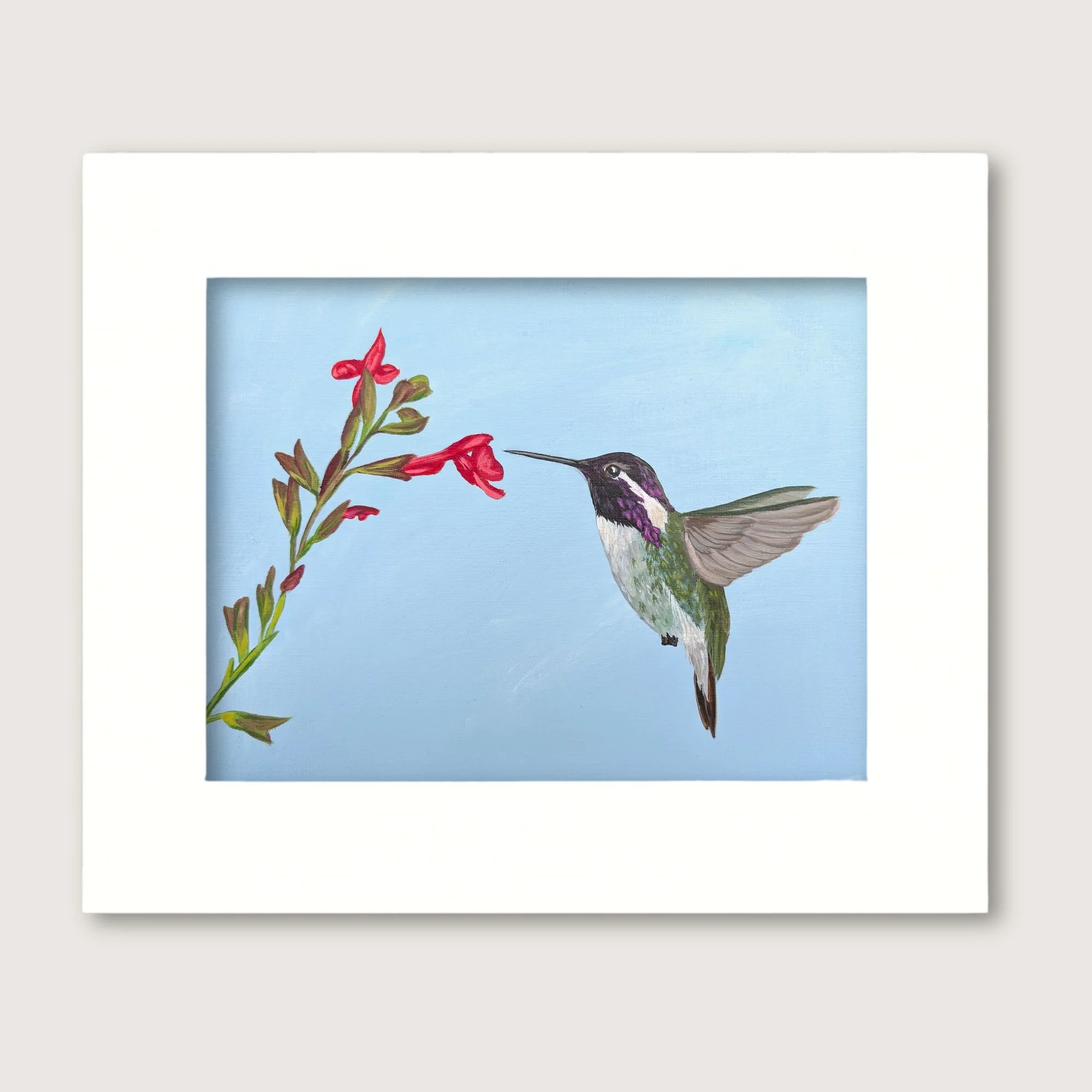 Costas Hummingbird Matted Shop Img.jpg