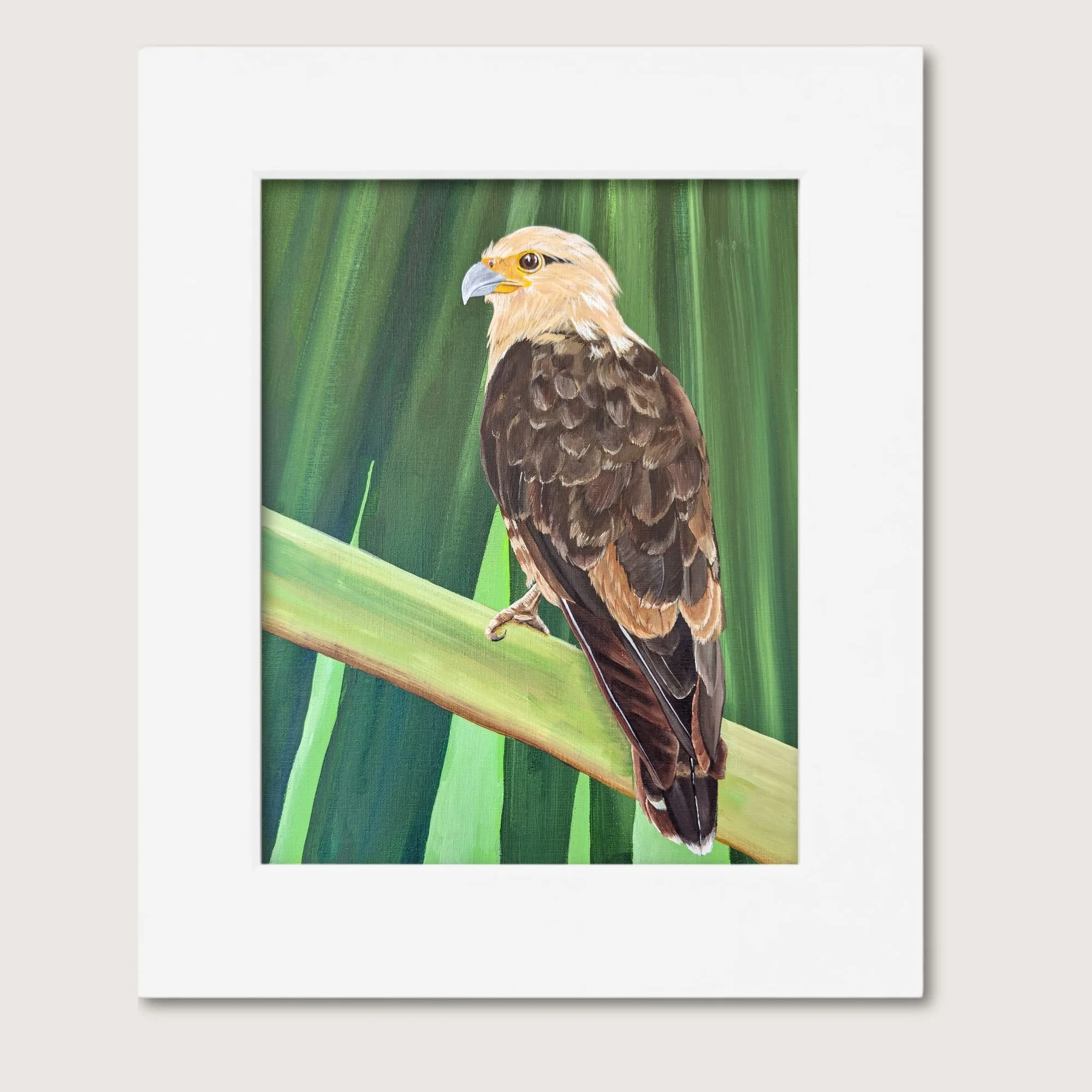 Yellow-Headed Caracara Painting