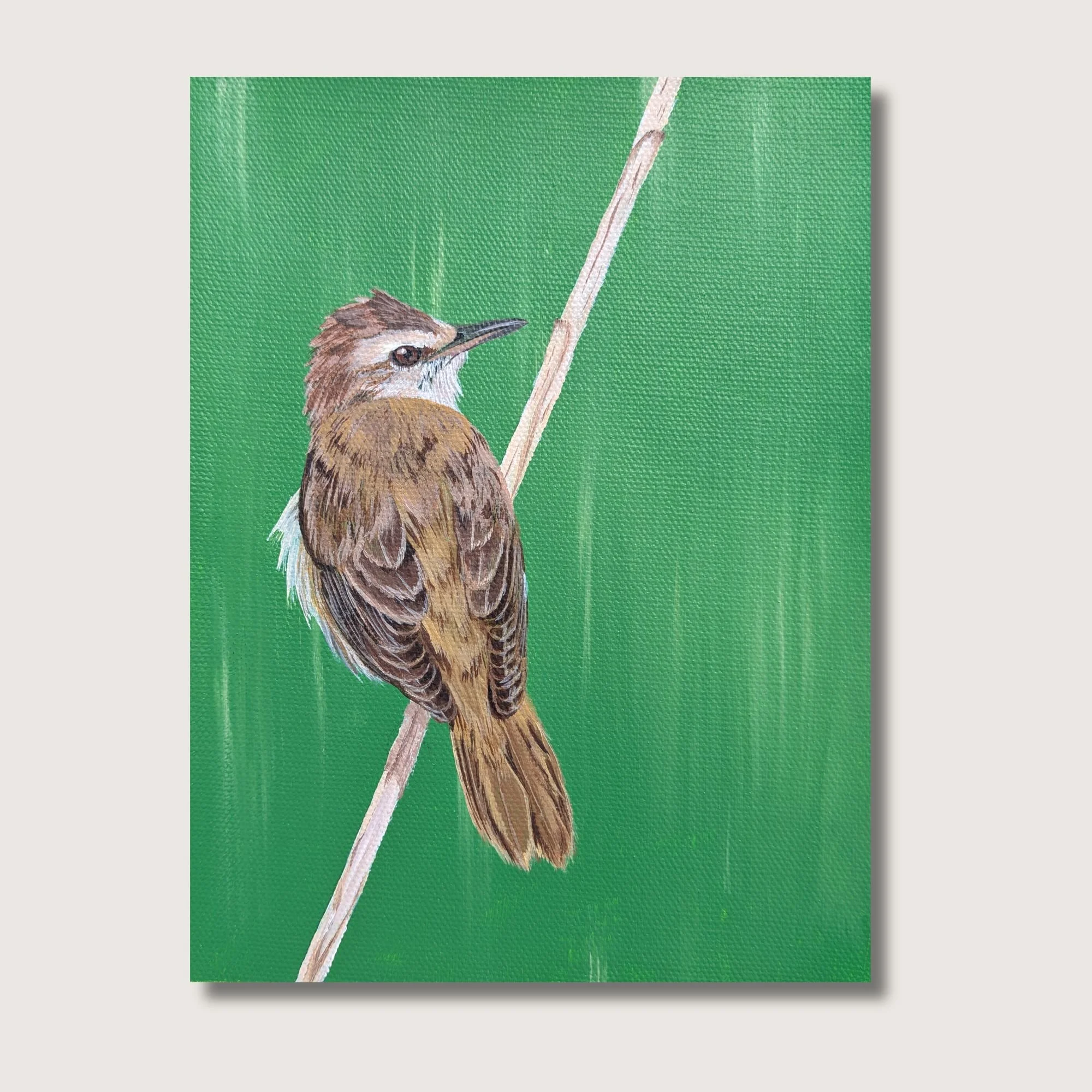 Reed Warbler Print Shop Img.jpg