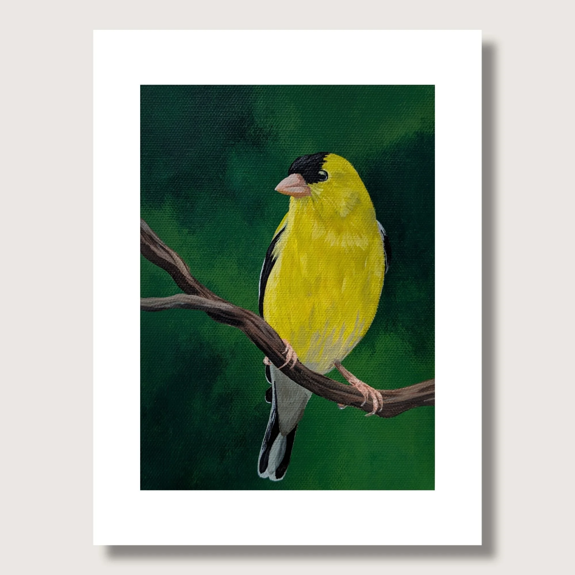 Goldfinch Matted Shop Img.jpg