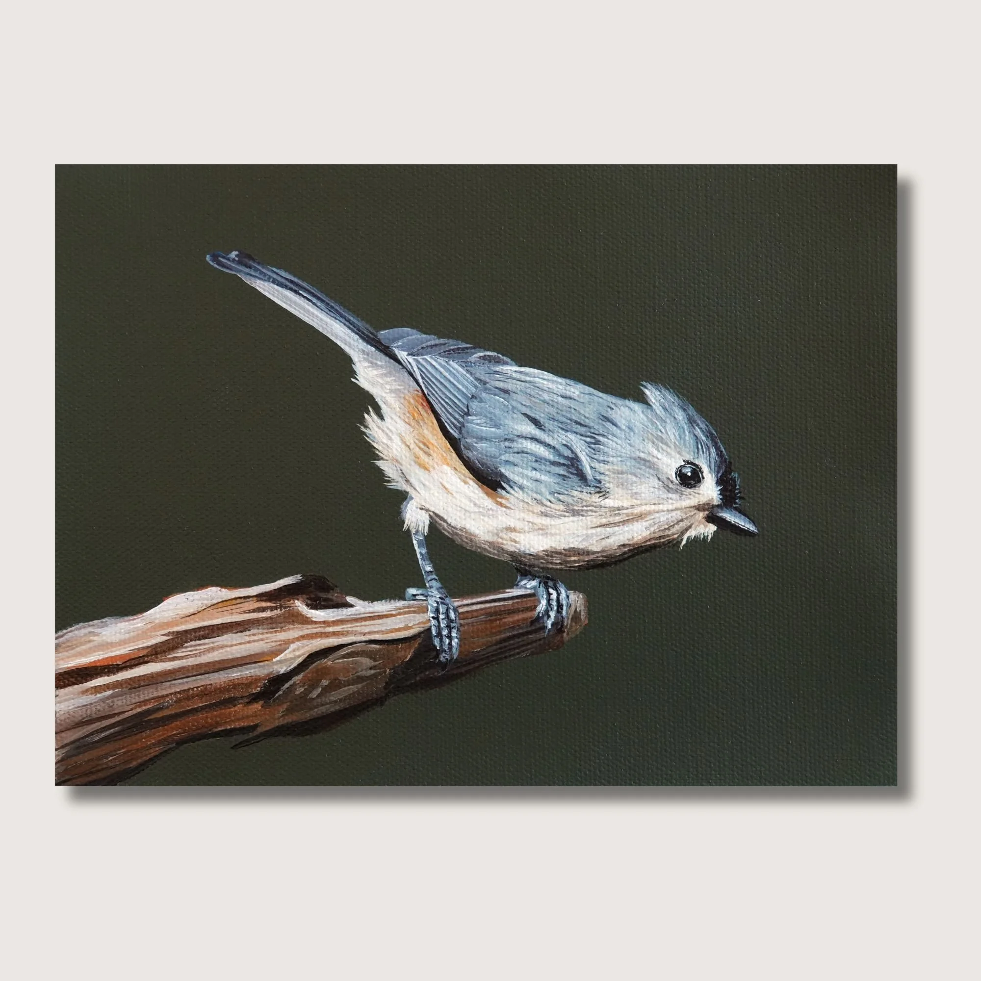 Tuff Titmouse Shop Img.jpg