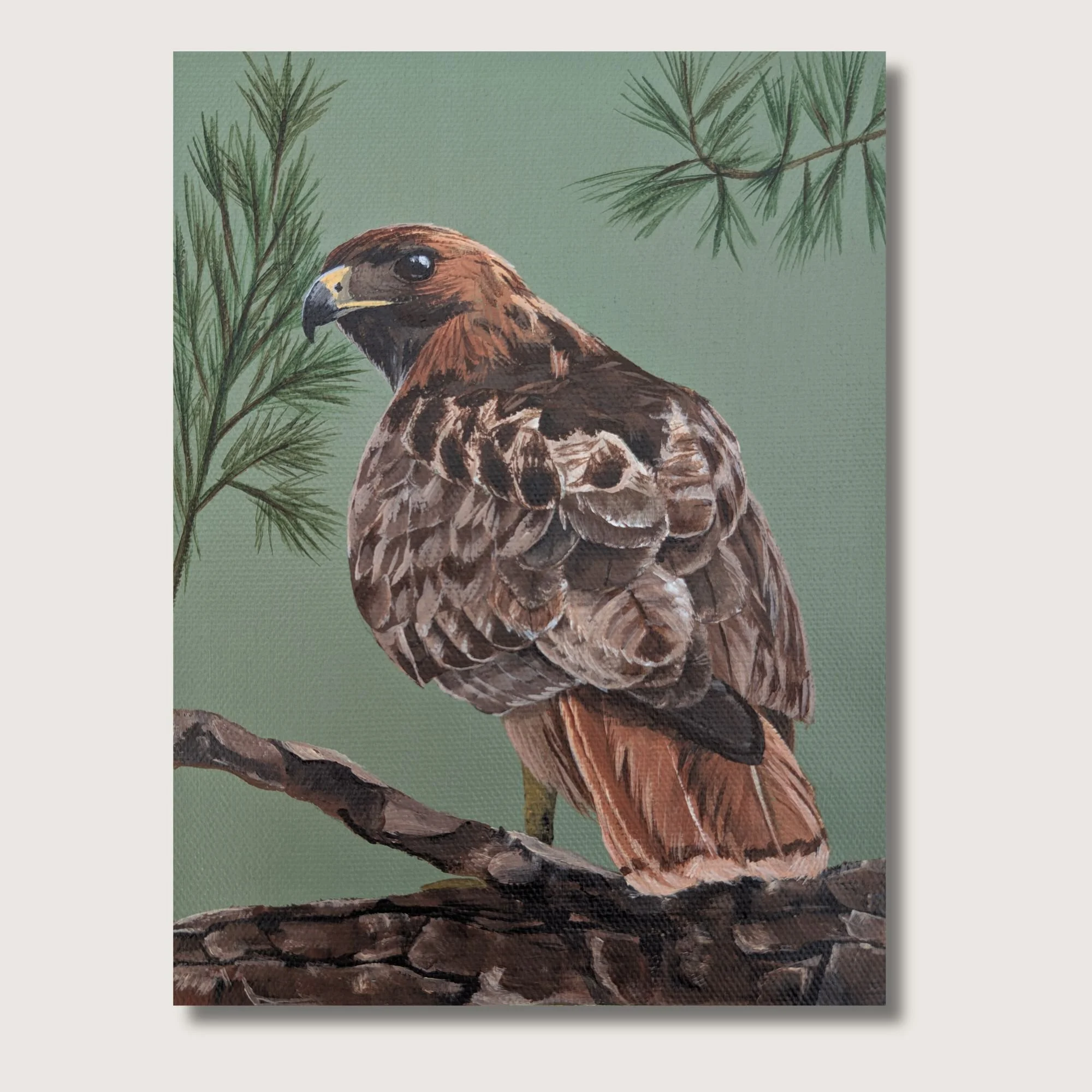 Red Tailed Hawk Print Shop Img.jpg