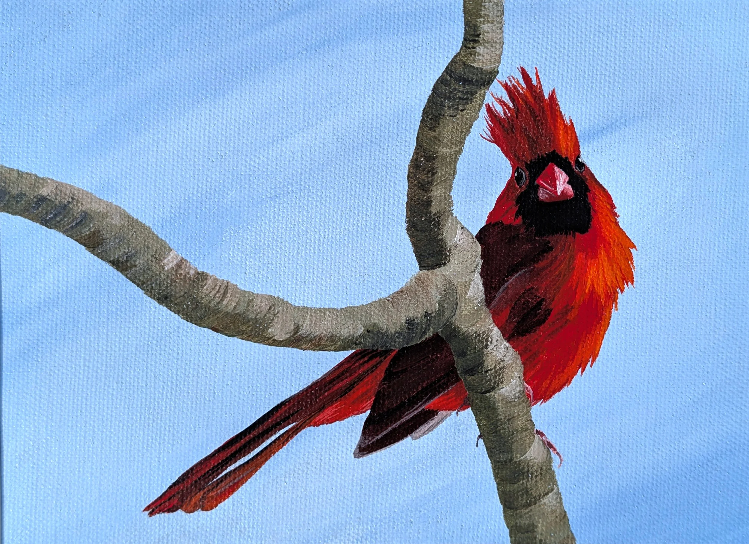 Cardinal Attitude Print-2.jpg