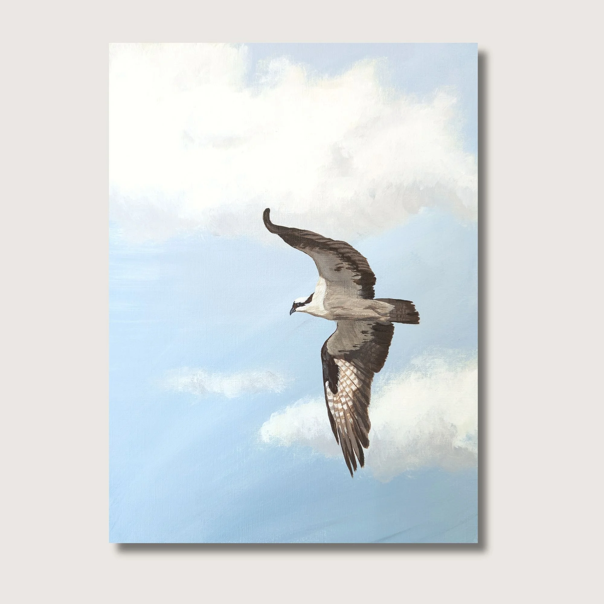 Osprey Print Shop Img.jpg