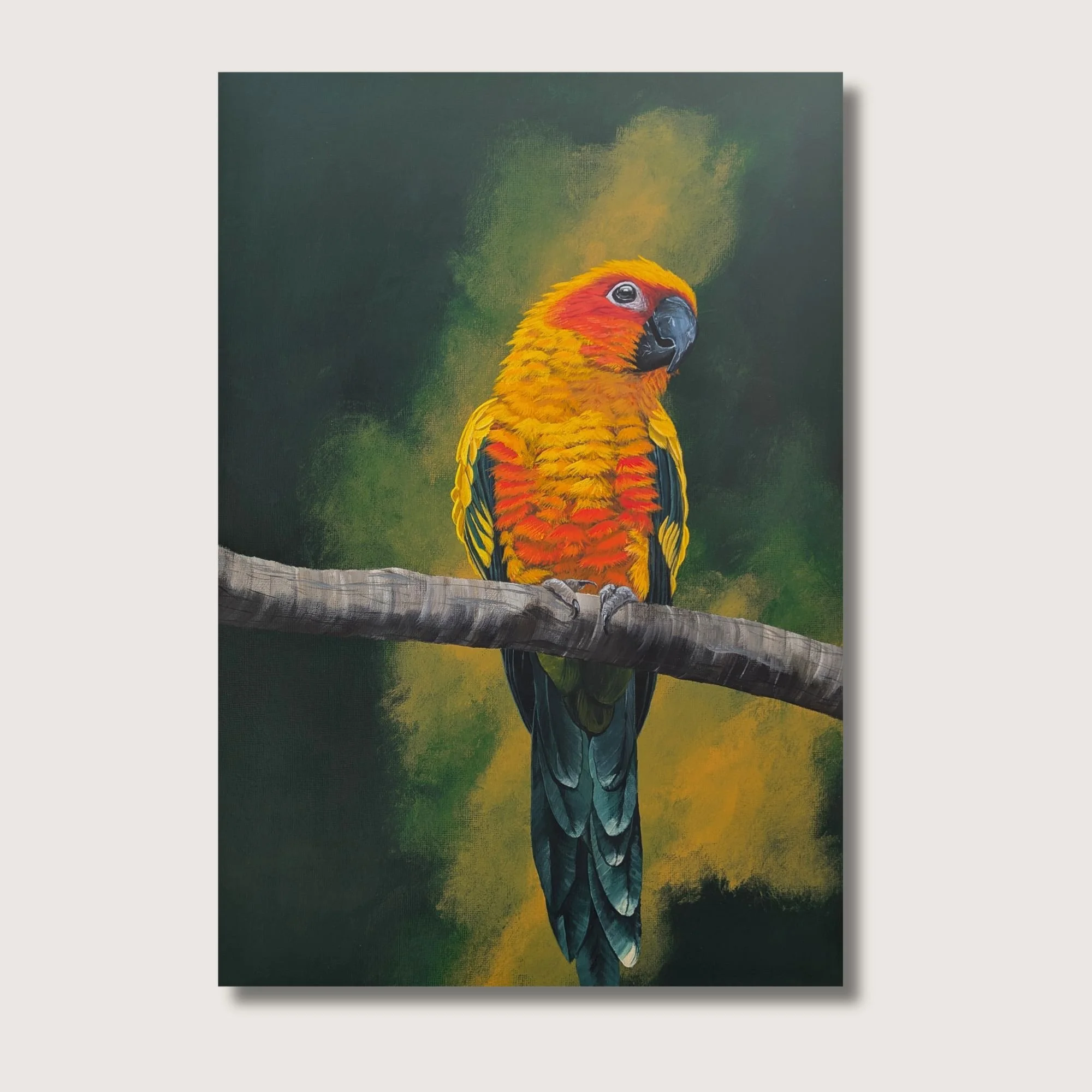 Sun Conure Print Shop Img.jpg
