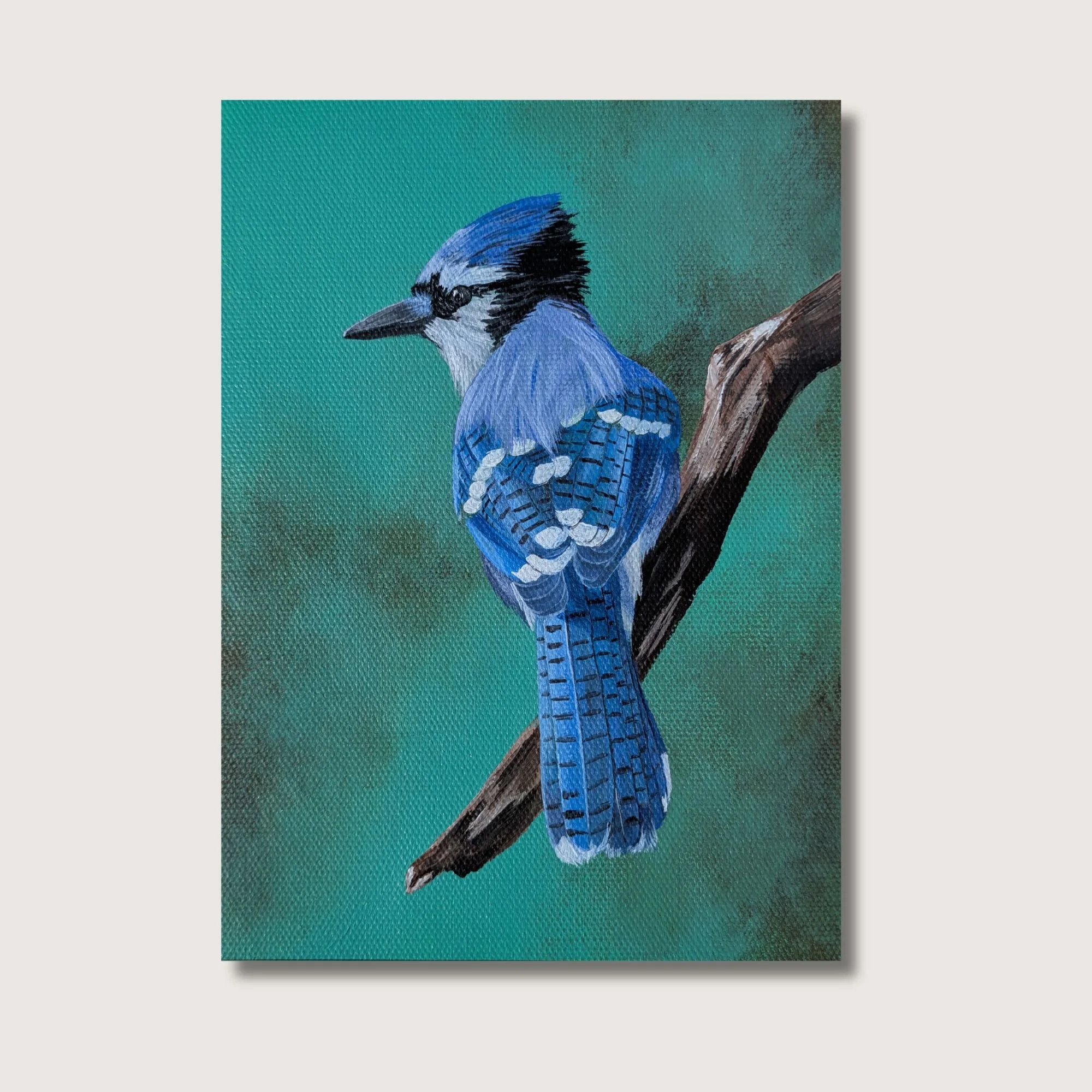 Perched Blue Jay Print Shop Img.jpg