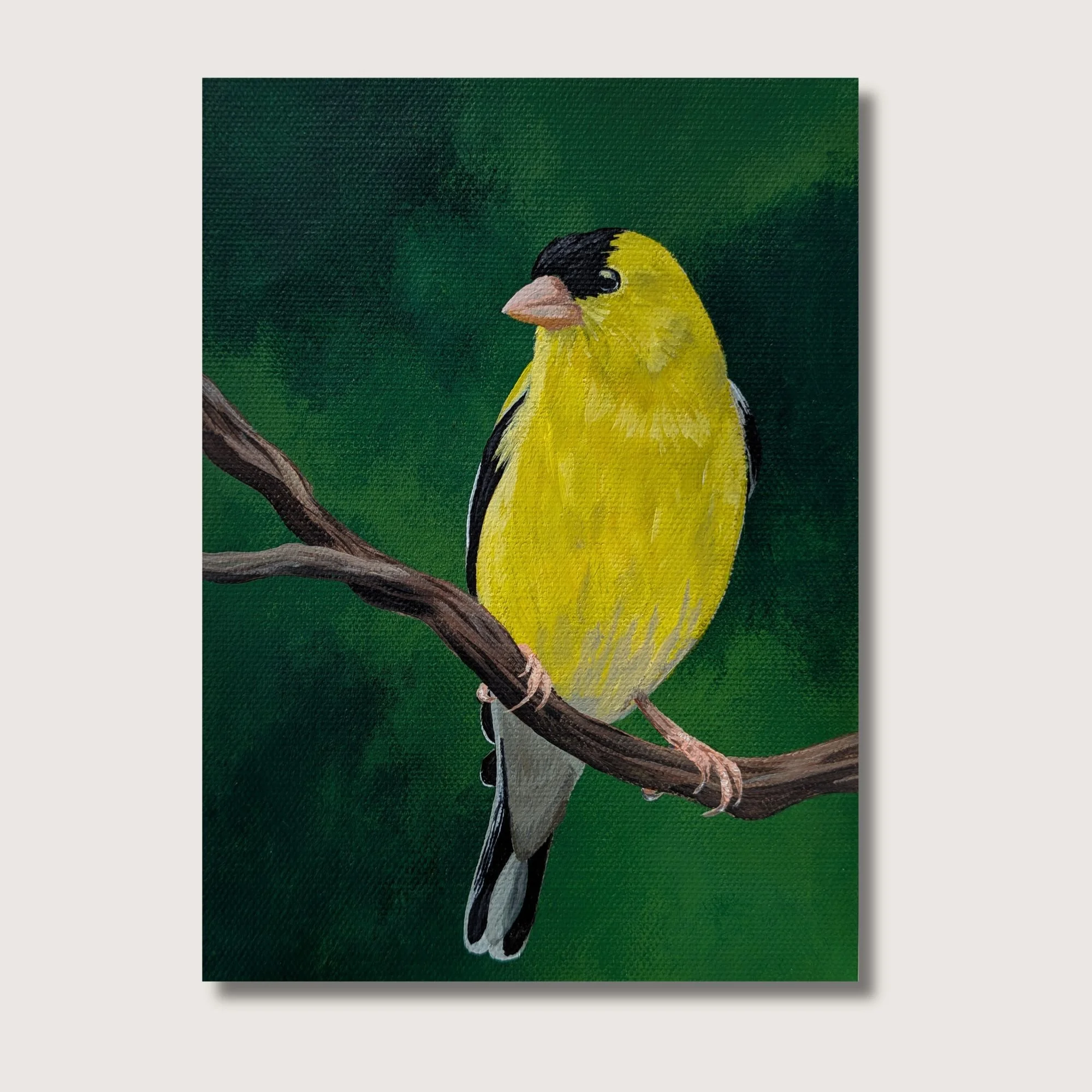 Goldfinch Print Shop Img.jpg