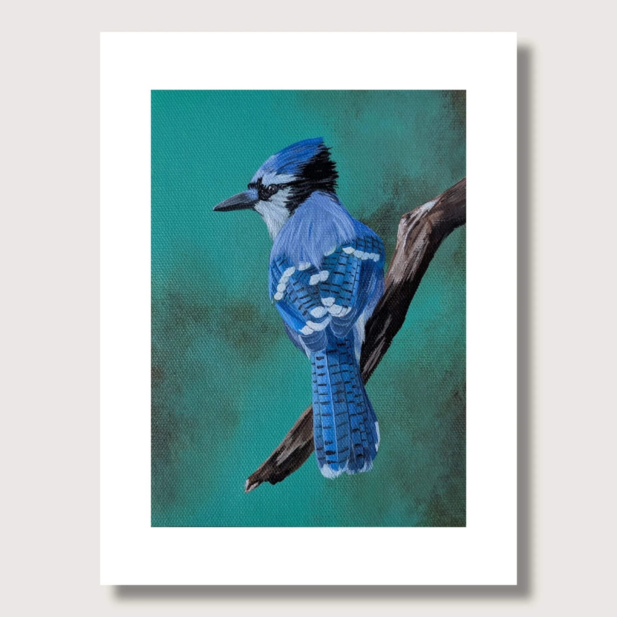 Perched Blue Jay Matted Shop Img.jpg
