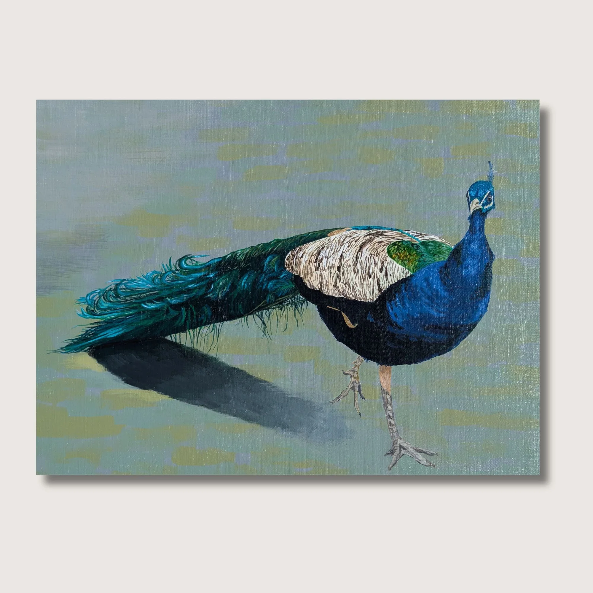 Peacock Strut Print Shop Img.jpg