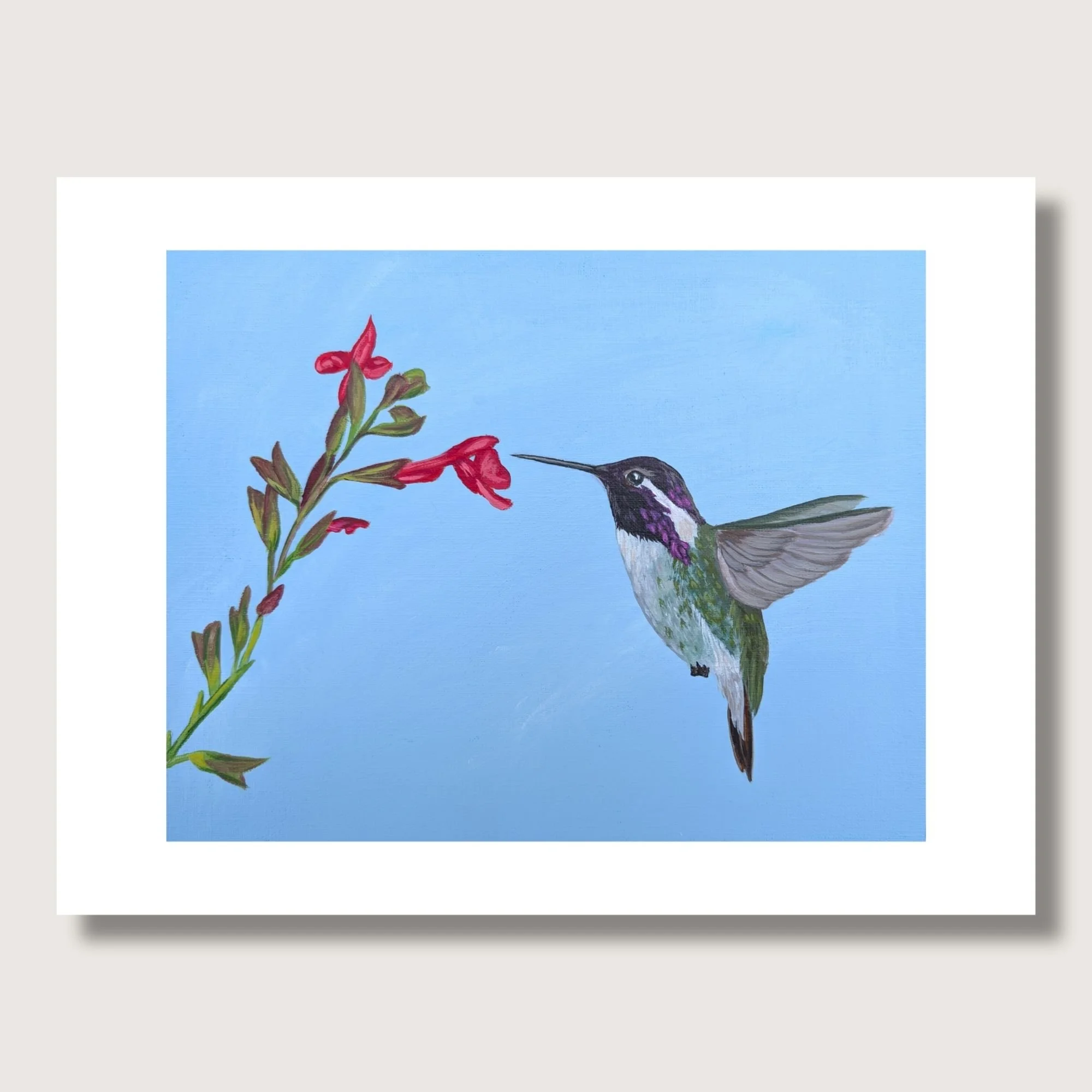 Costas Hummingbird Matted Shop Img.jpg