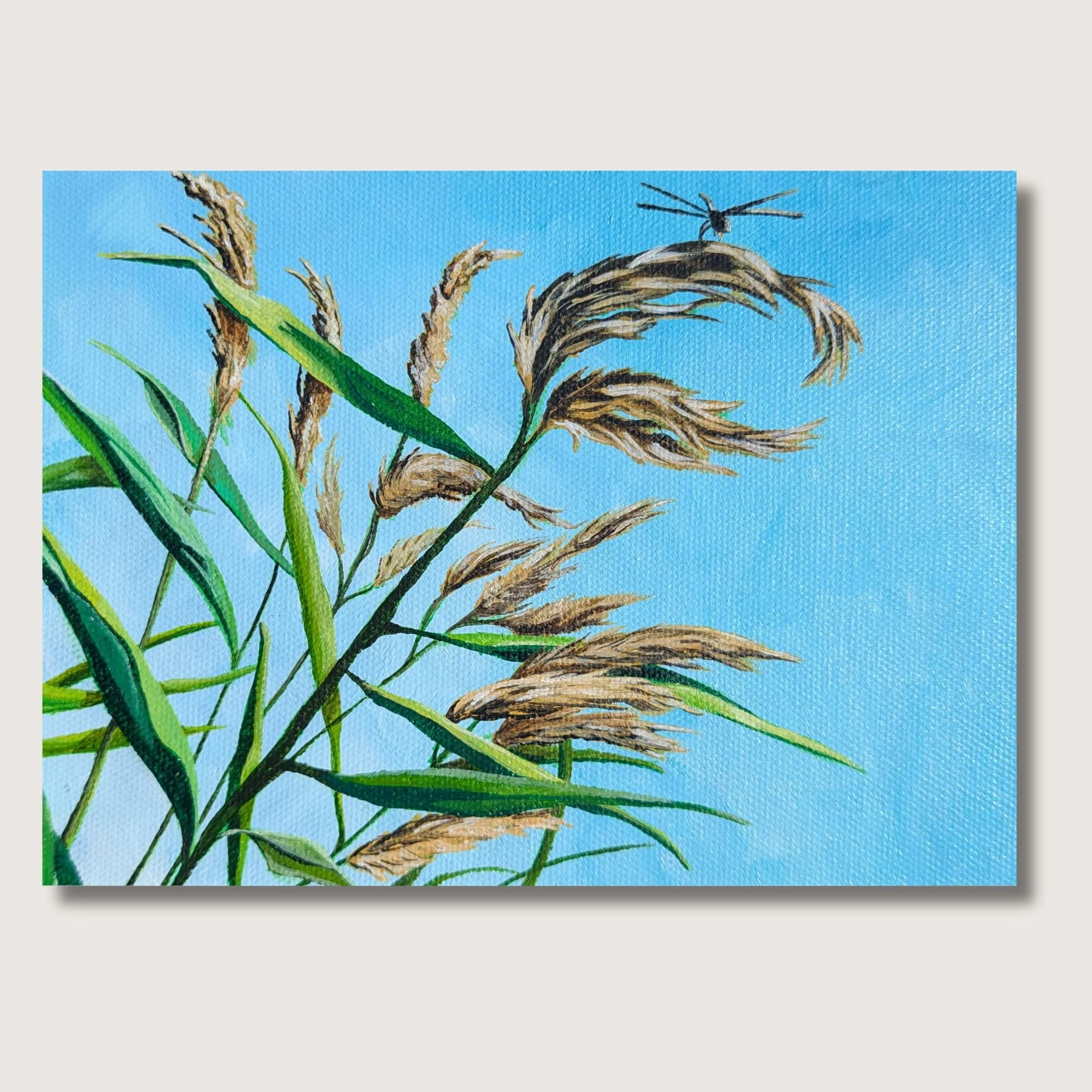Dragonfly Reeds Print Shop Img.jpg