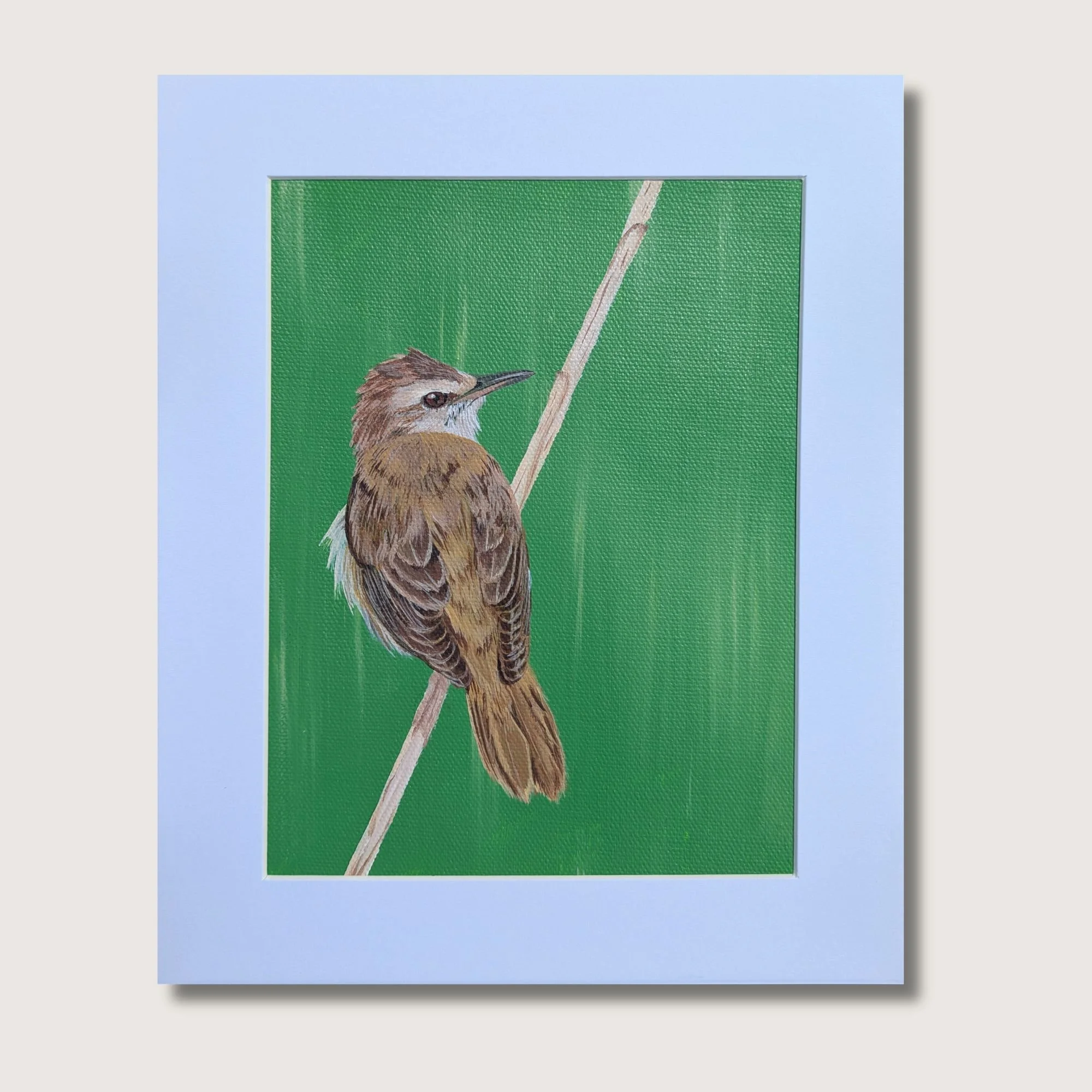 Reed Warbler Bird Painting