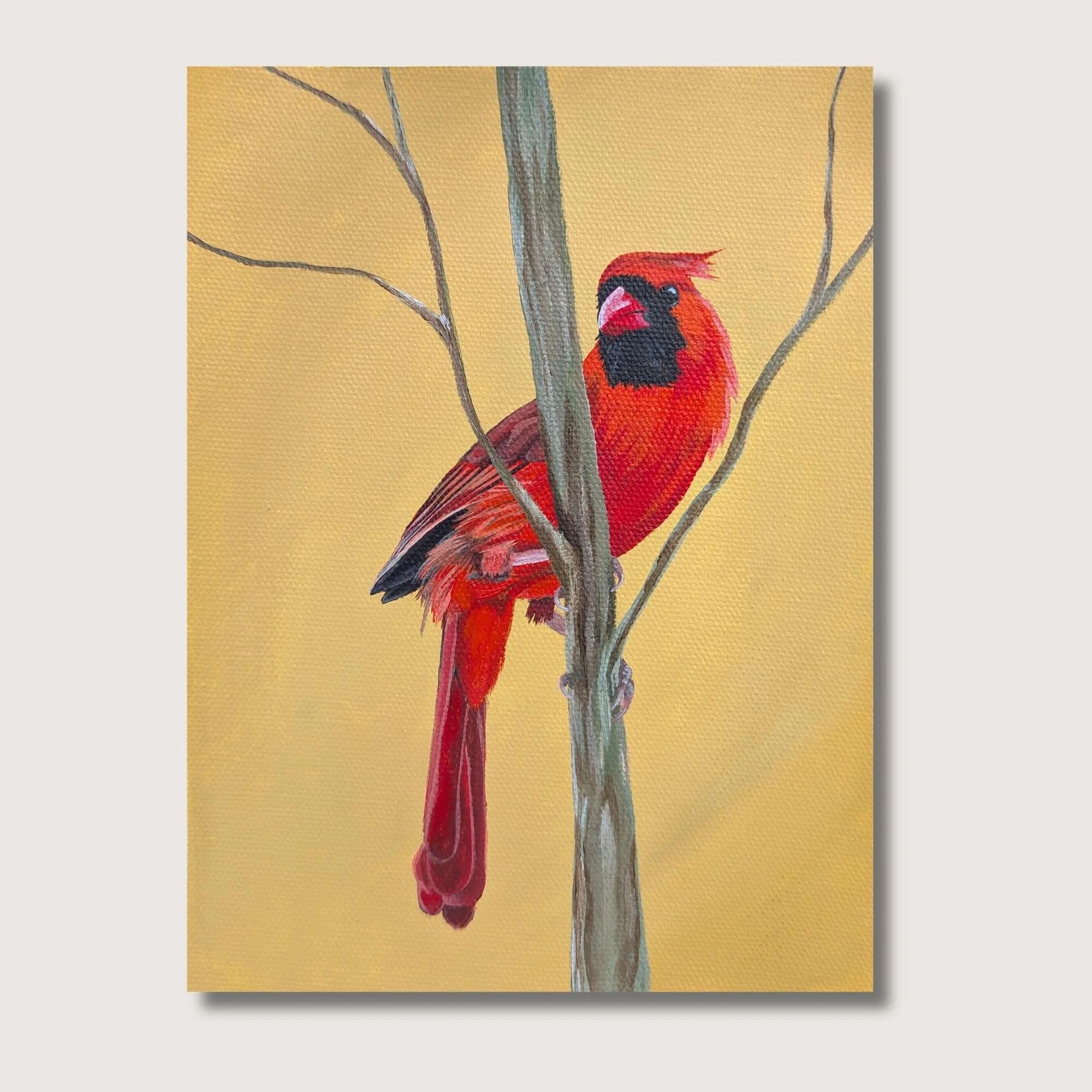 Cardinal Print Shop Img.jpg