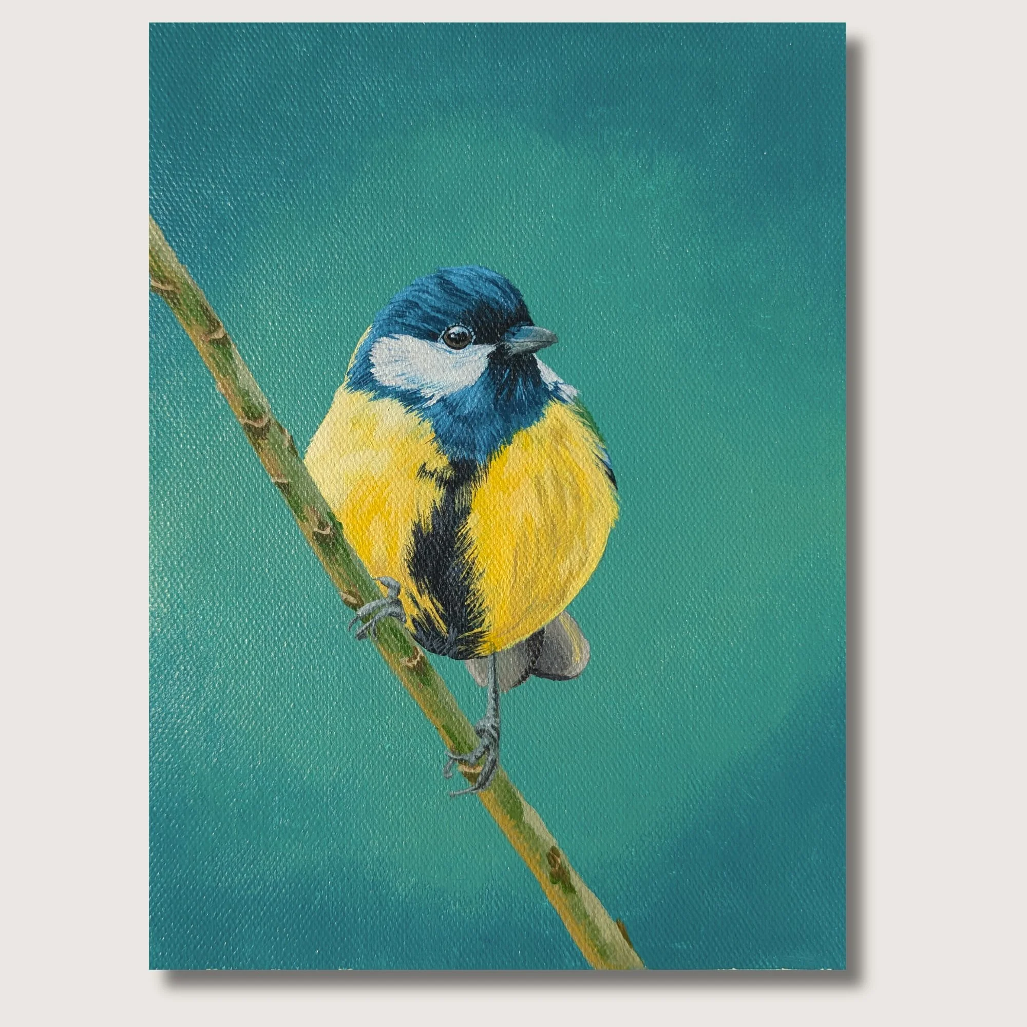 Blue Tit Print Shop Img.jpg