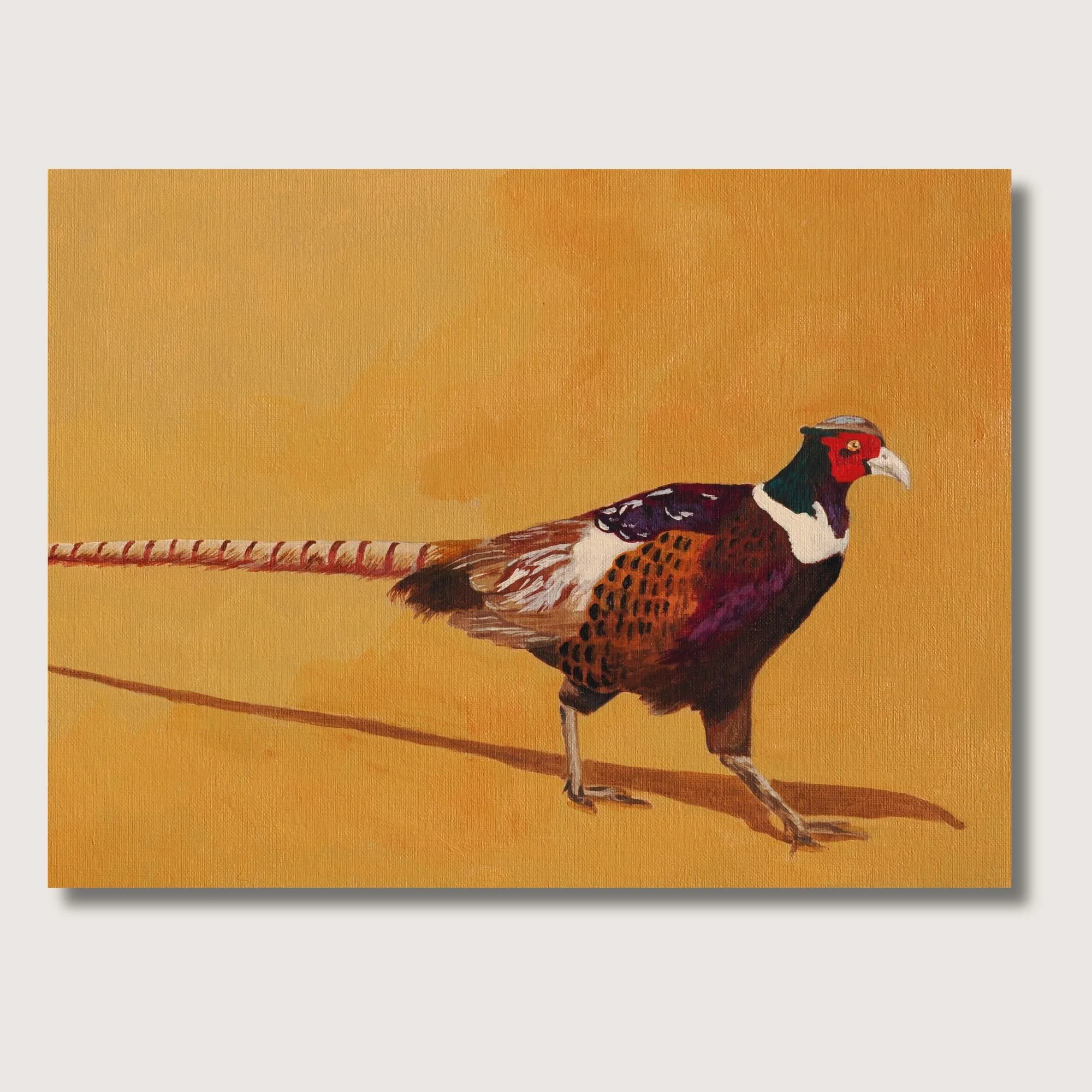 Pheasant Print Shop Img.jpg