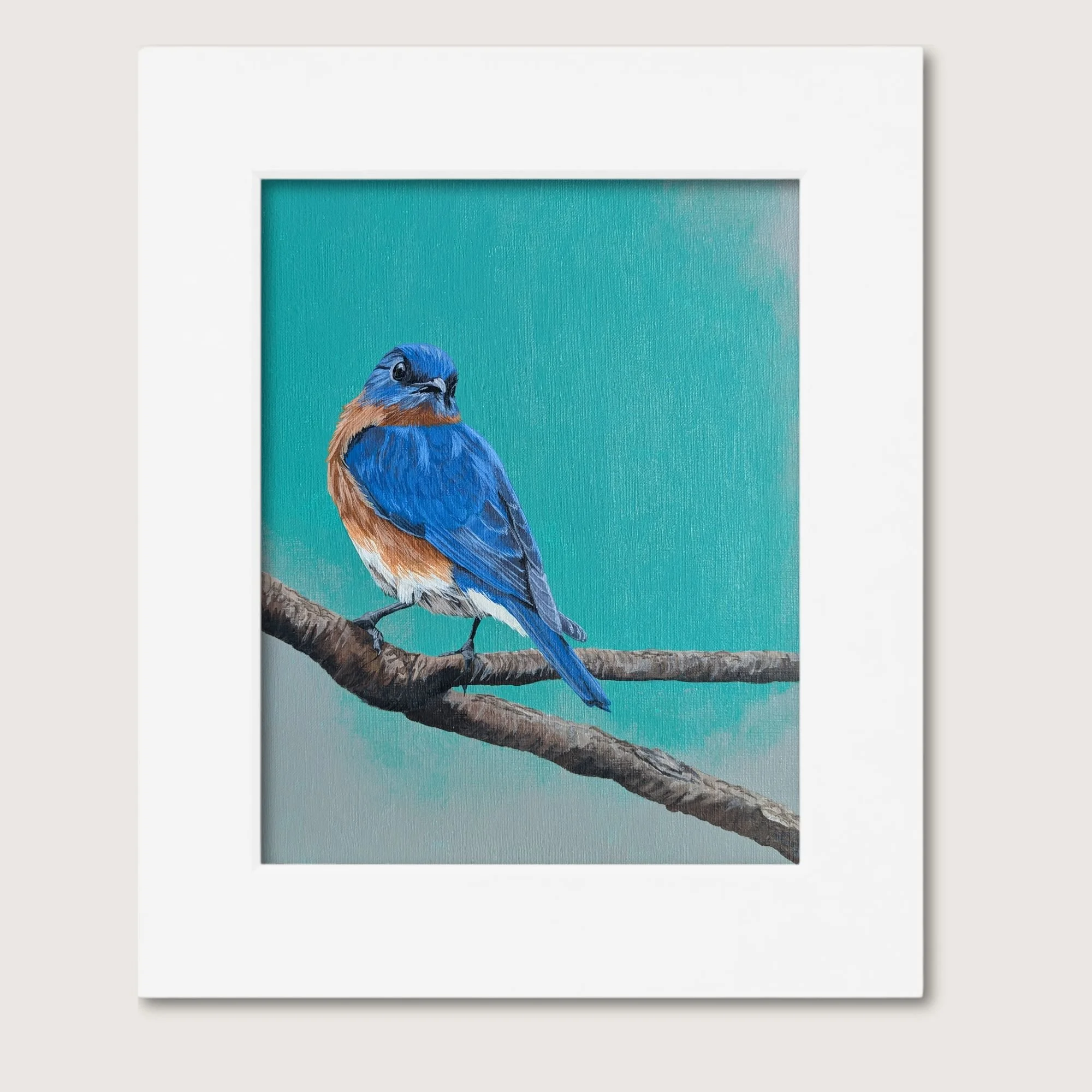 Eastern Bluebird Painting