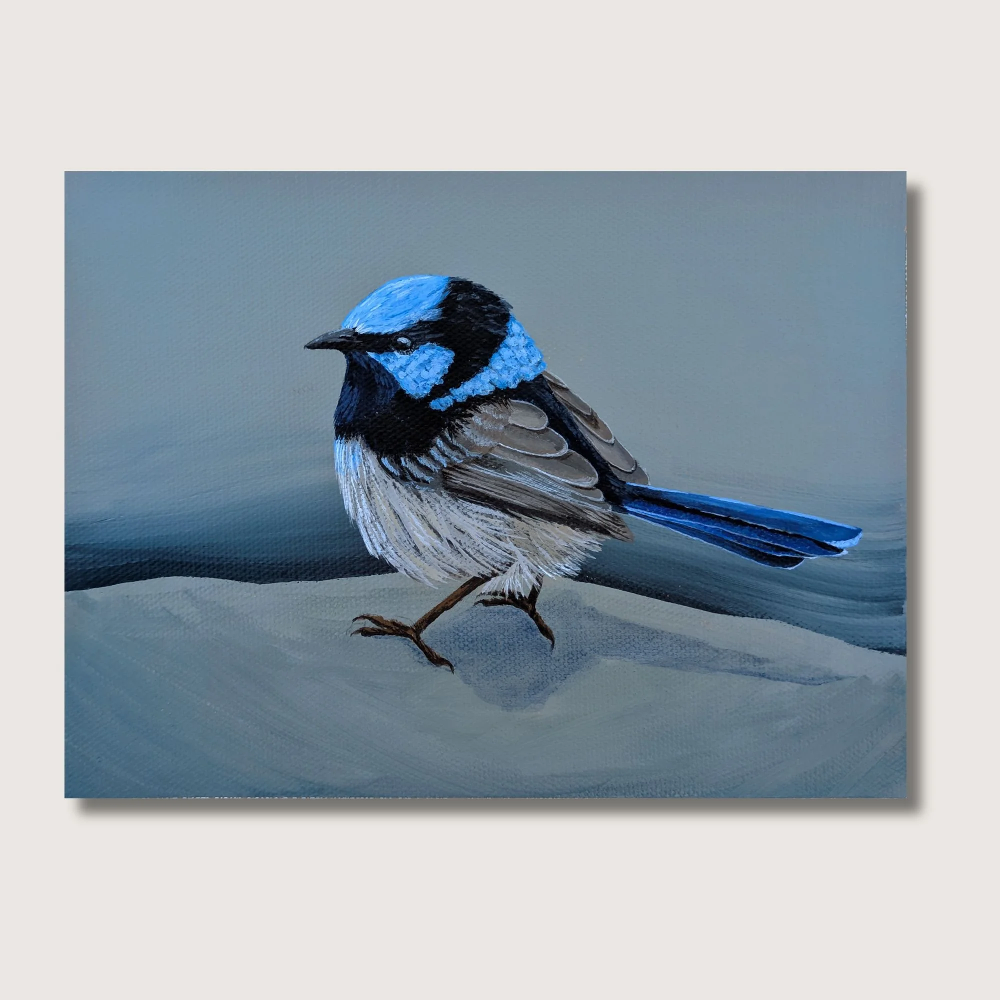 Fairy Wren Print Shop Img.jpg