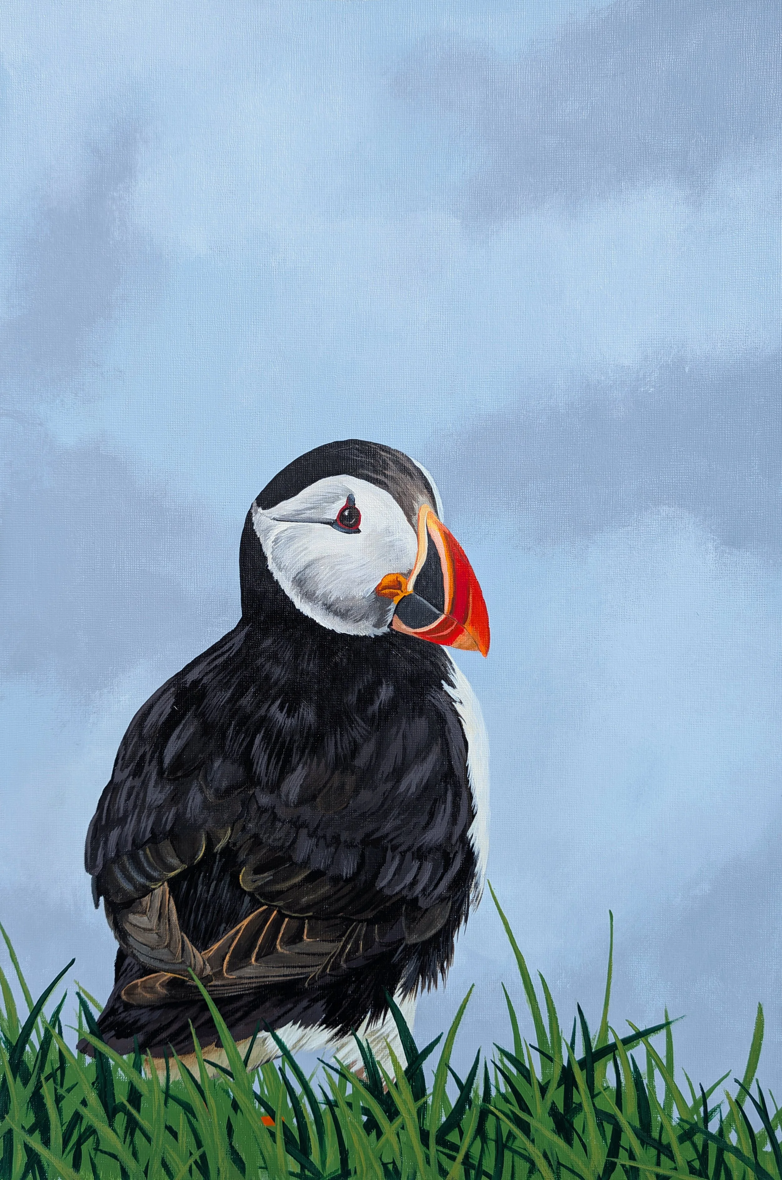 cliffside puffin