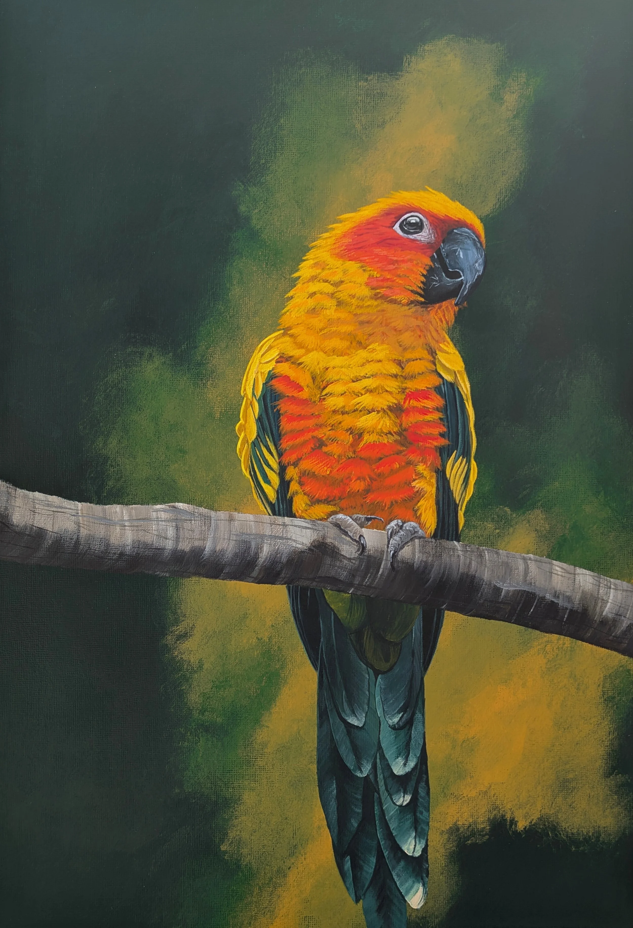 Sun Conure