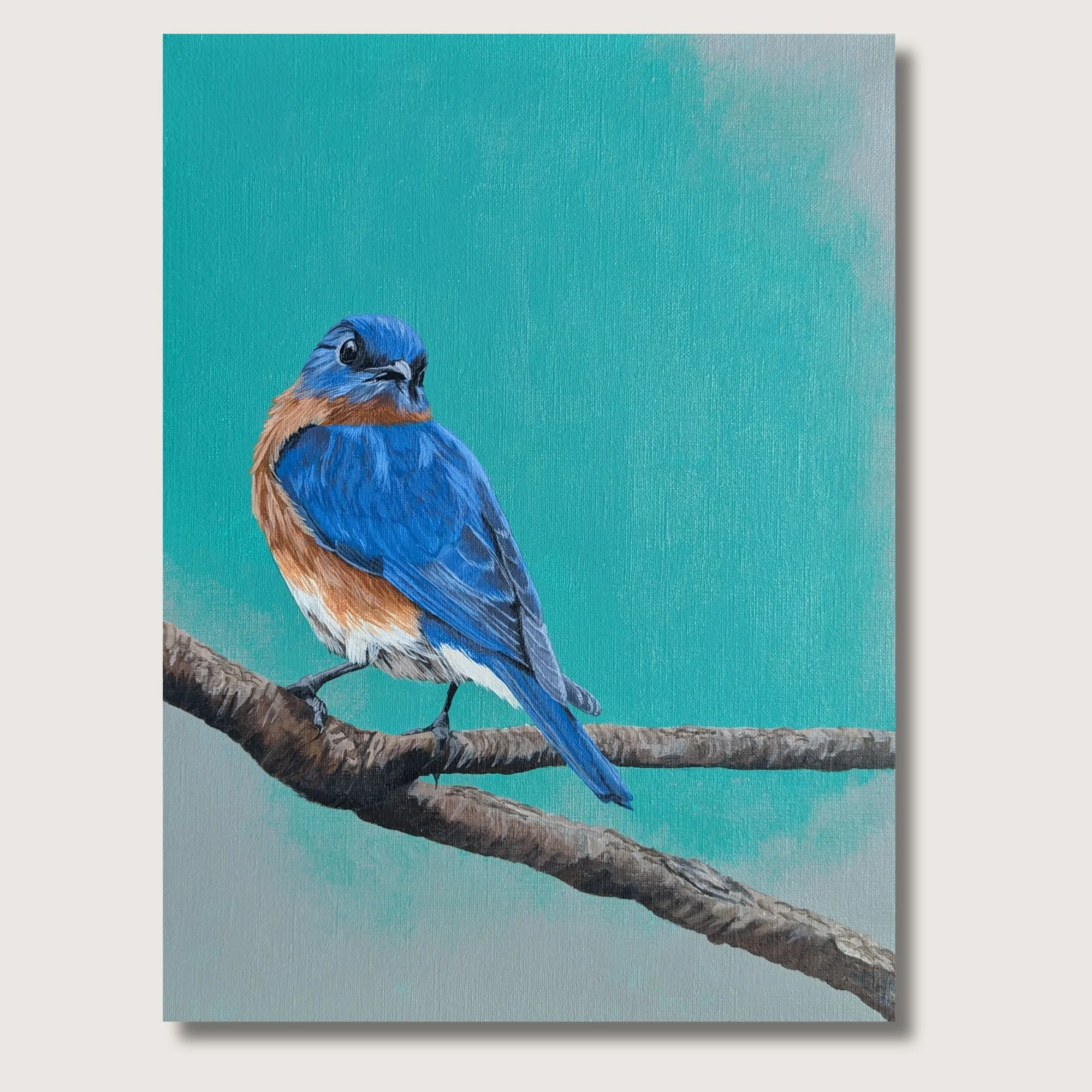 Eastern Bluebird Painting