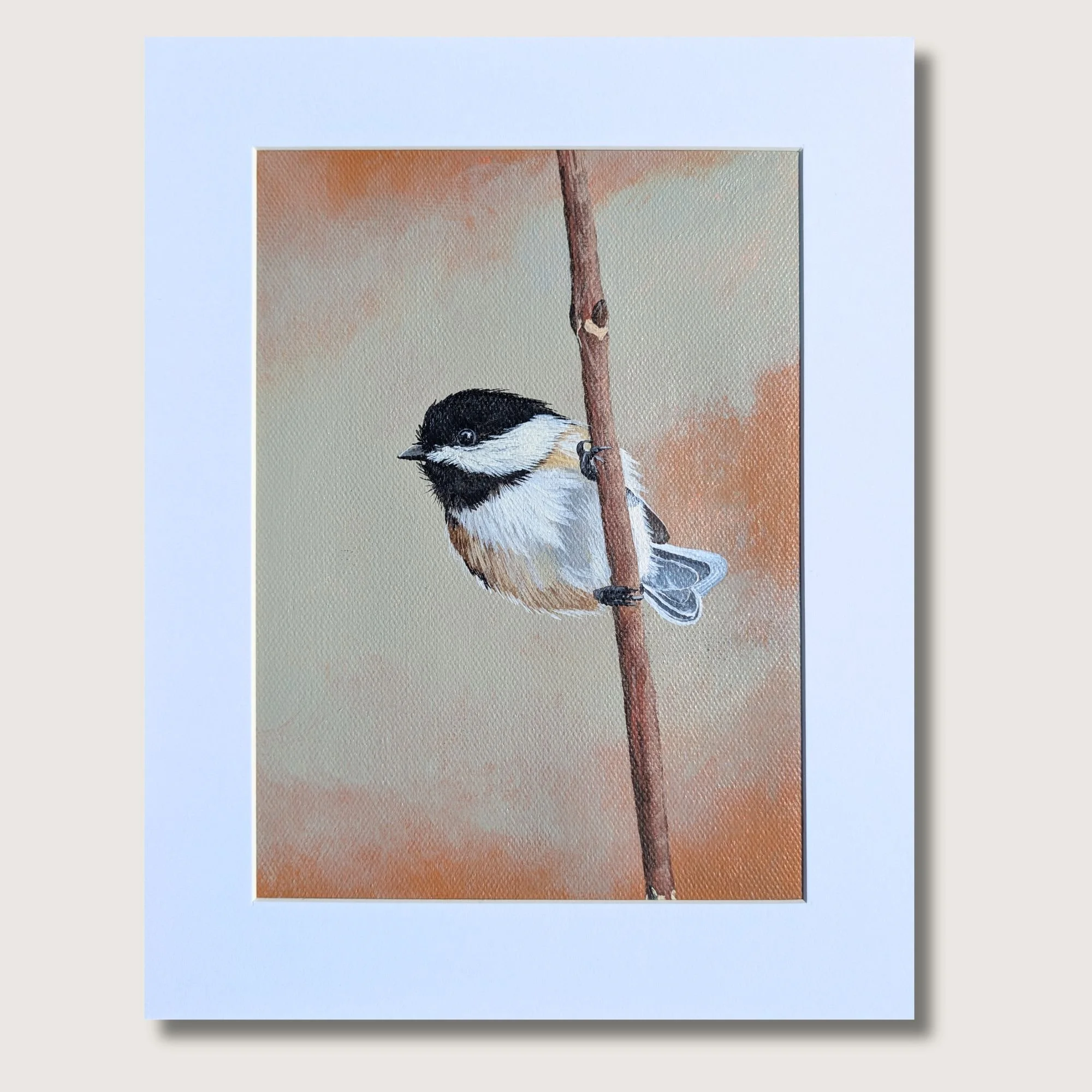 BCC Original Shop Img.jpg