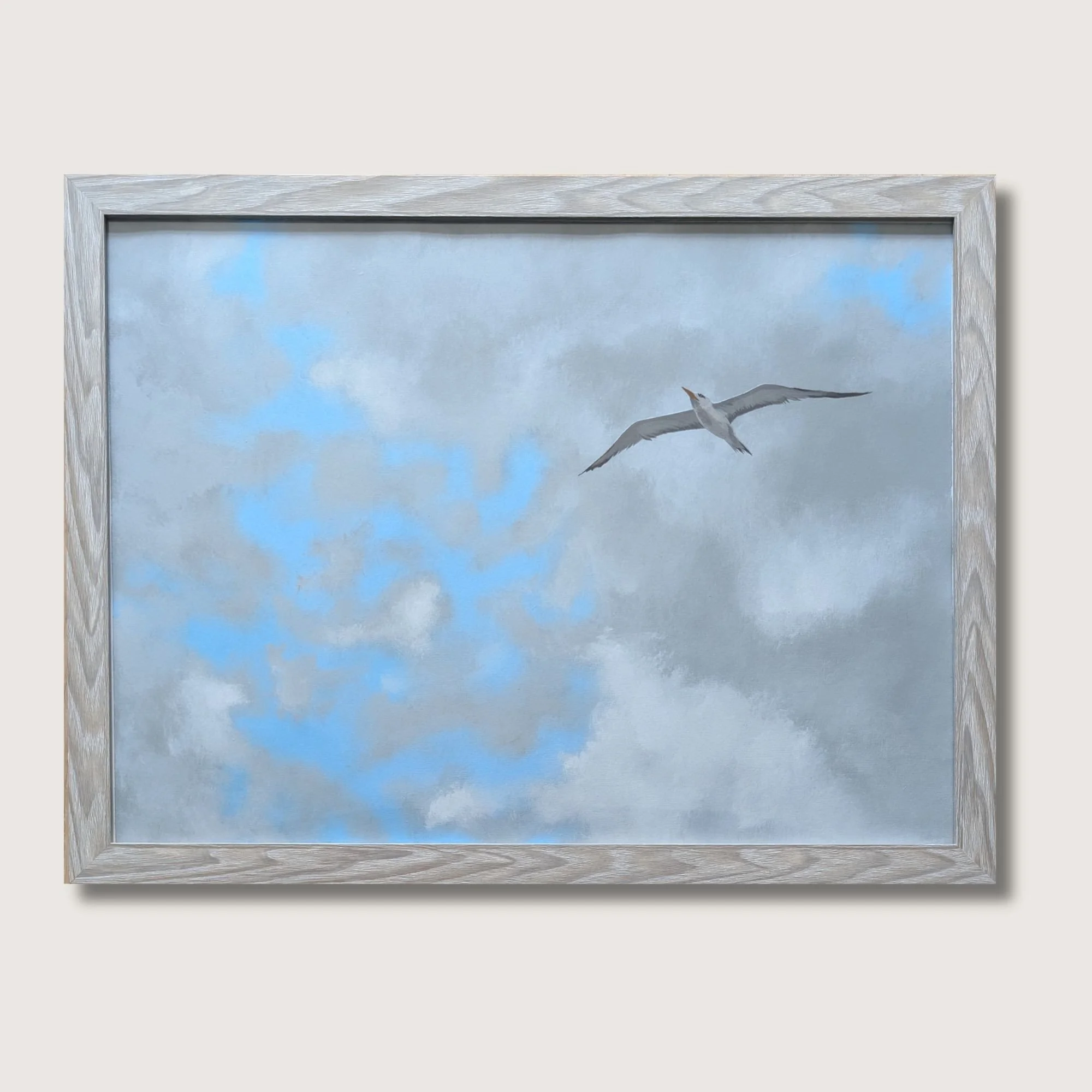 Soaring Tern Bird Painting