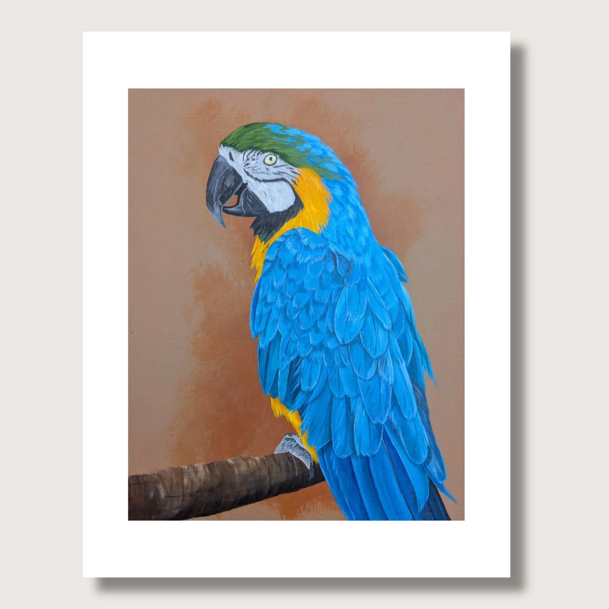 BY Macaw Matted Shop Img.jpg