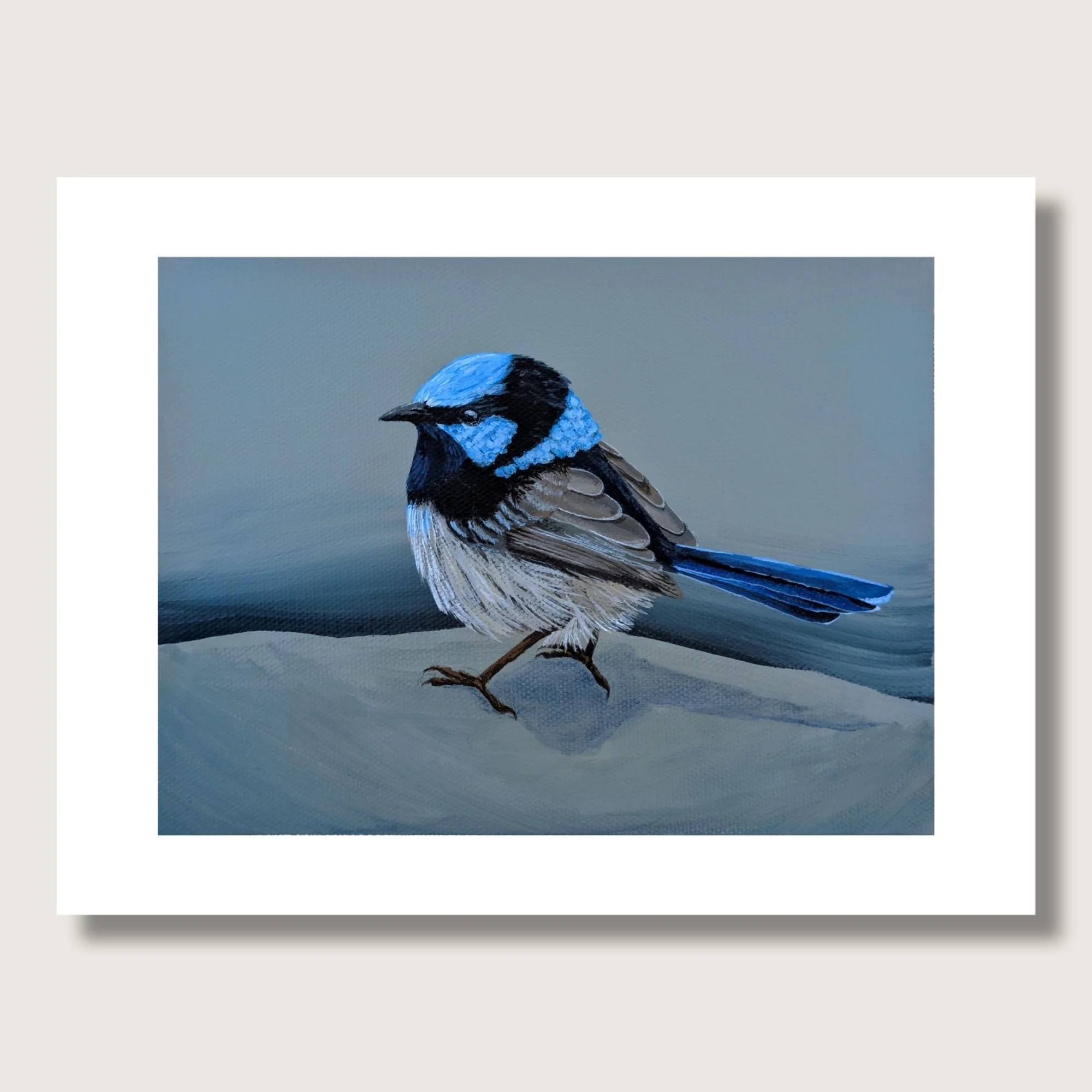 Fairy Wren Painting
