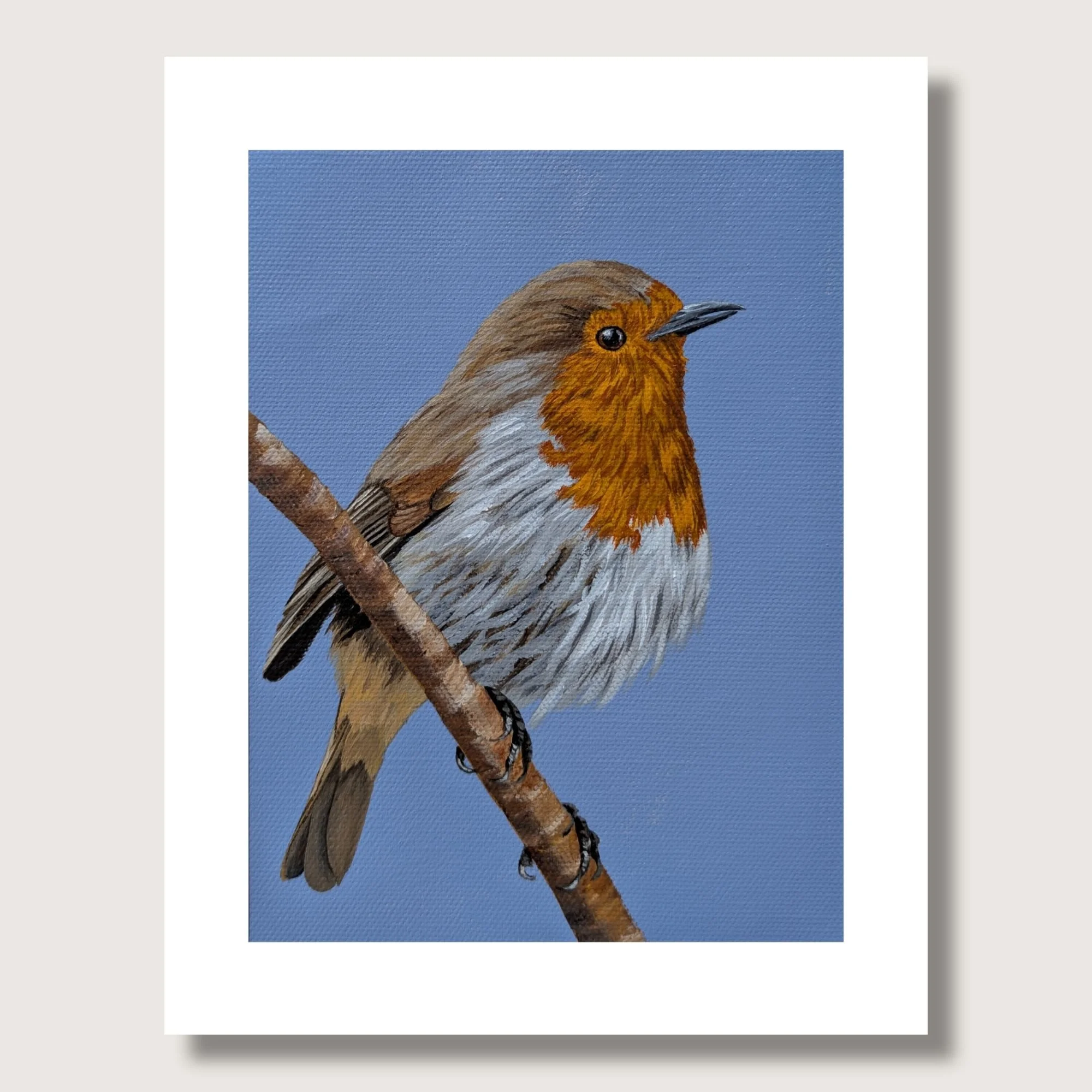 European Robin Painting