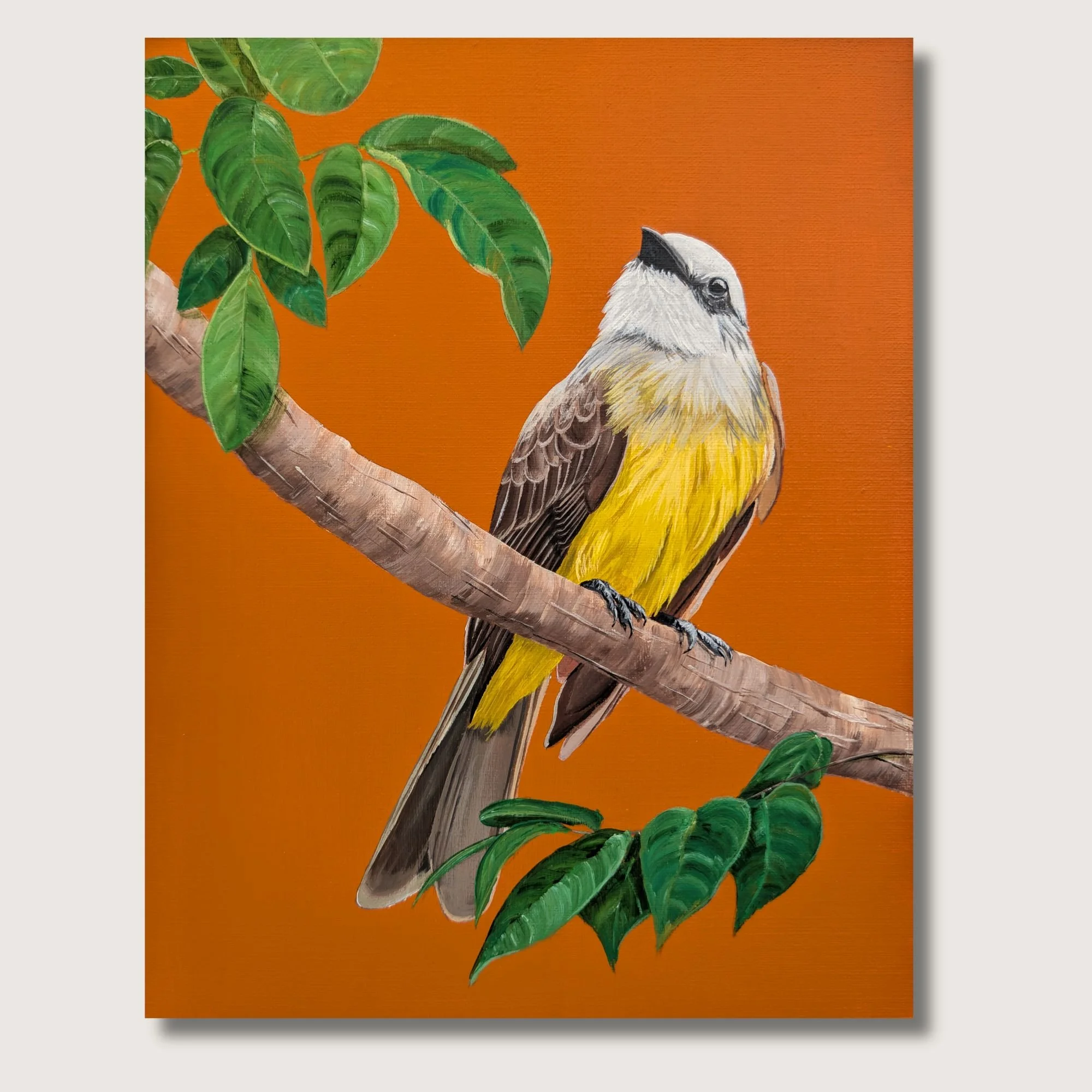 Tropical Kingbird Print Shop Img.jpg