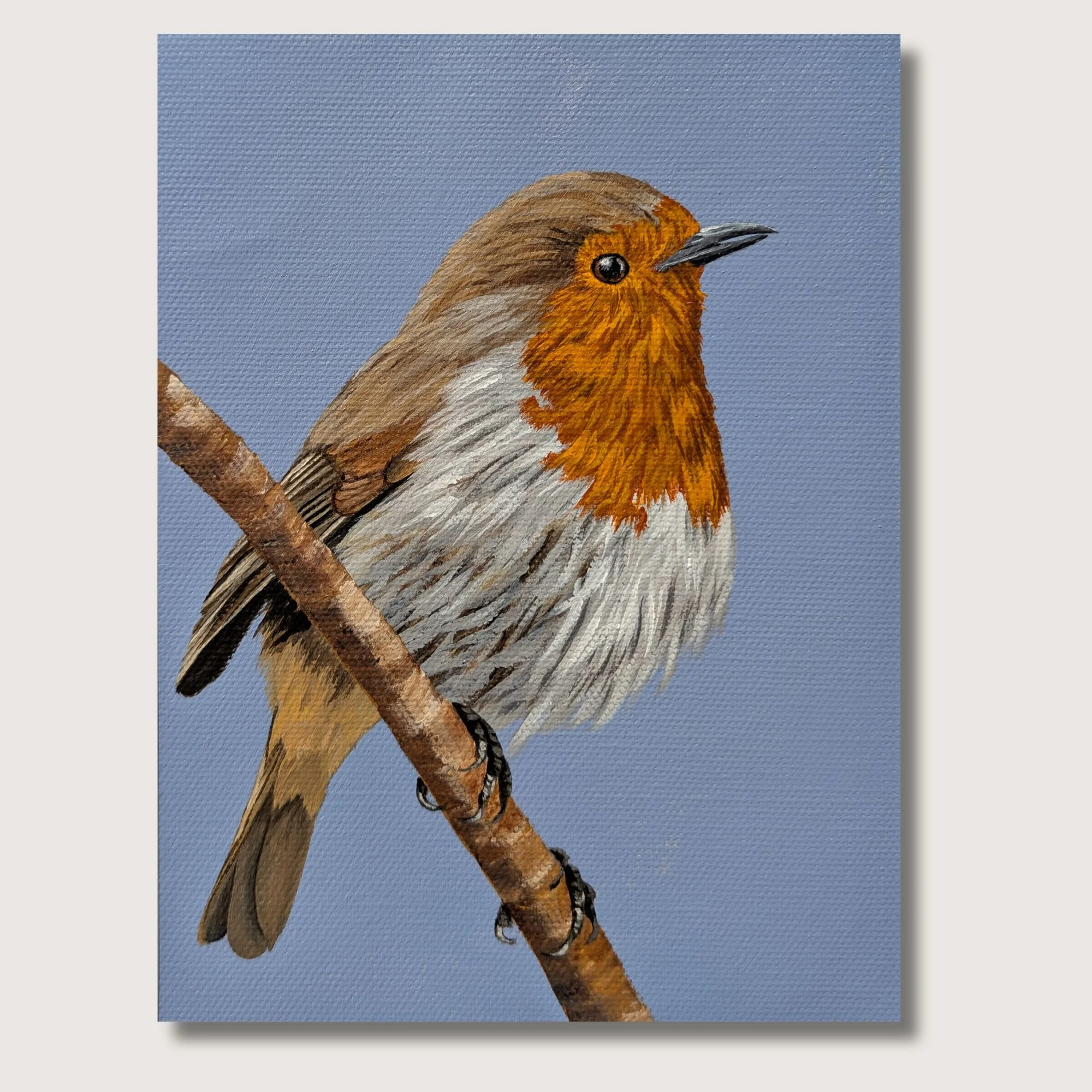 Euro Robin Print Shop Img.jpg