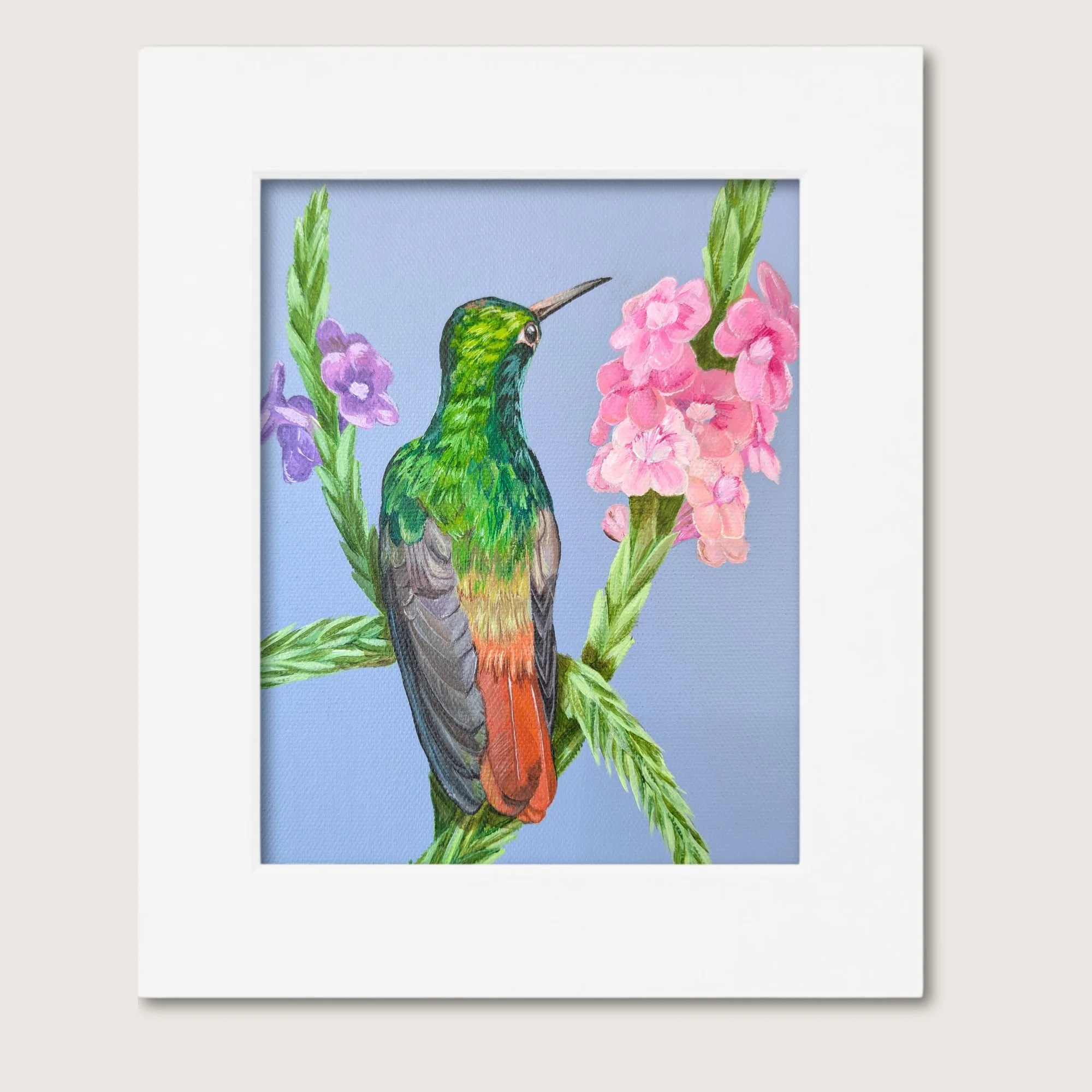 Rufous-Tailed Hummingbird Painting