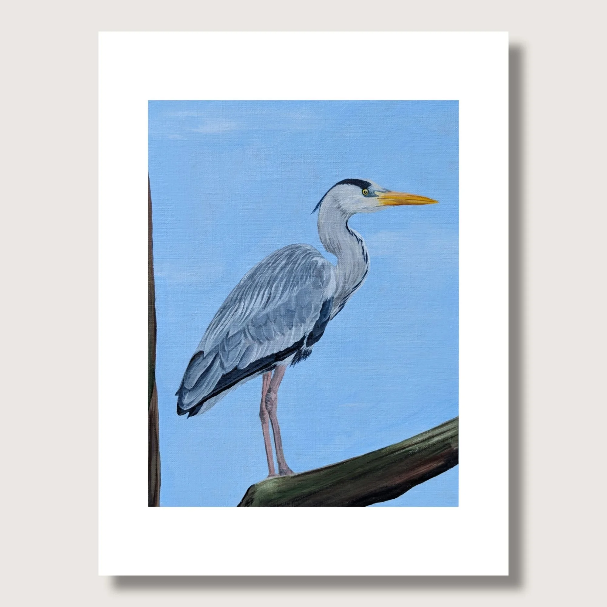 Gray Geron Matted Shop Img.jpg