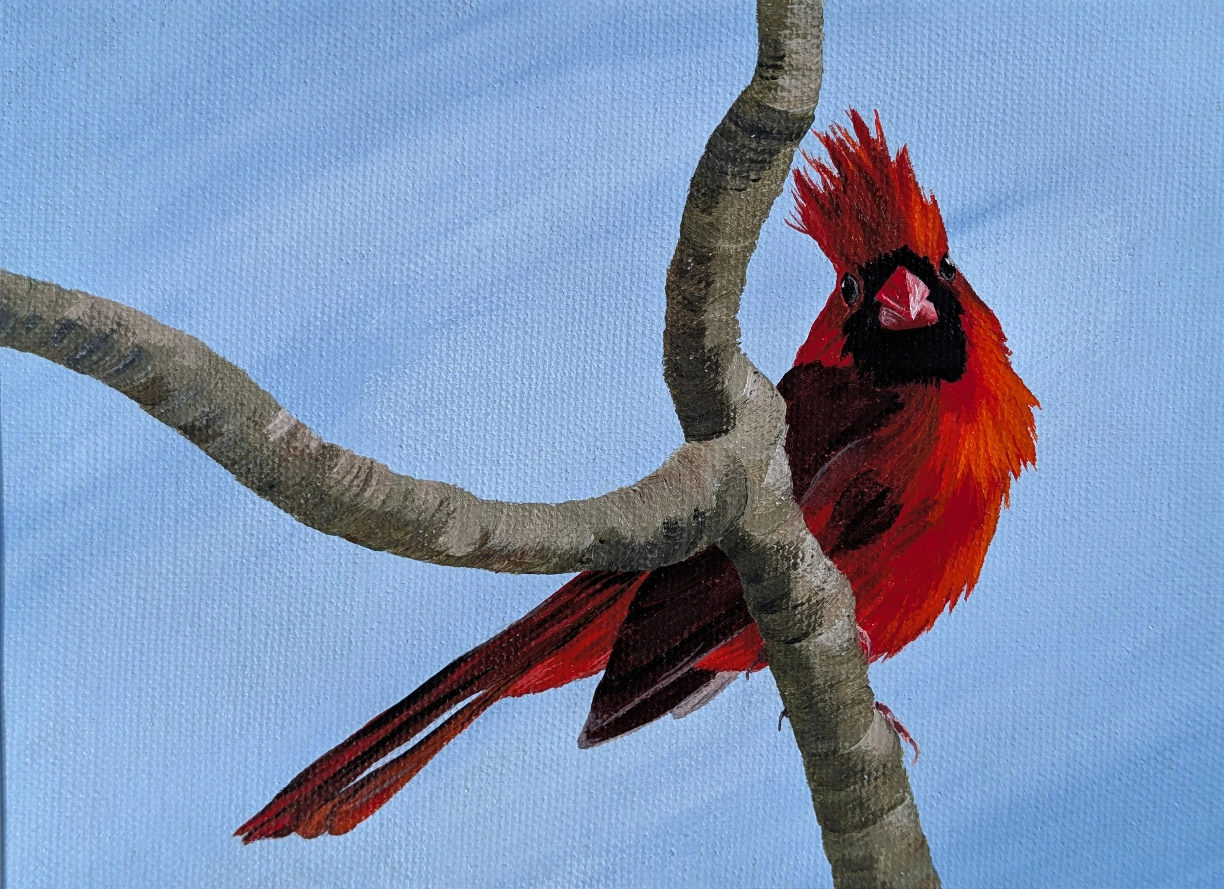 cardinal painting