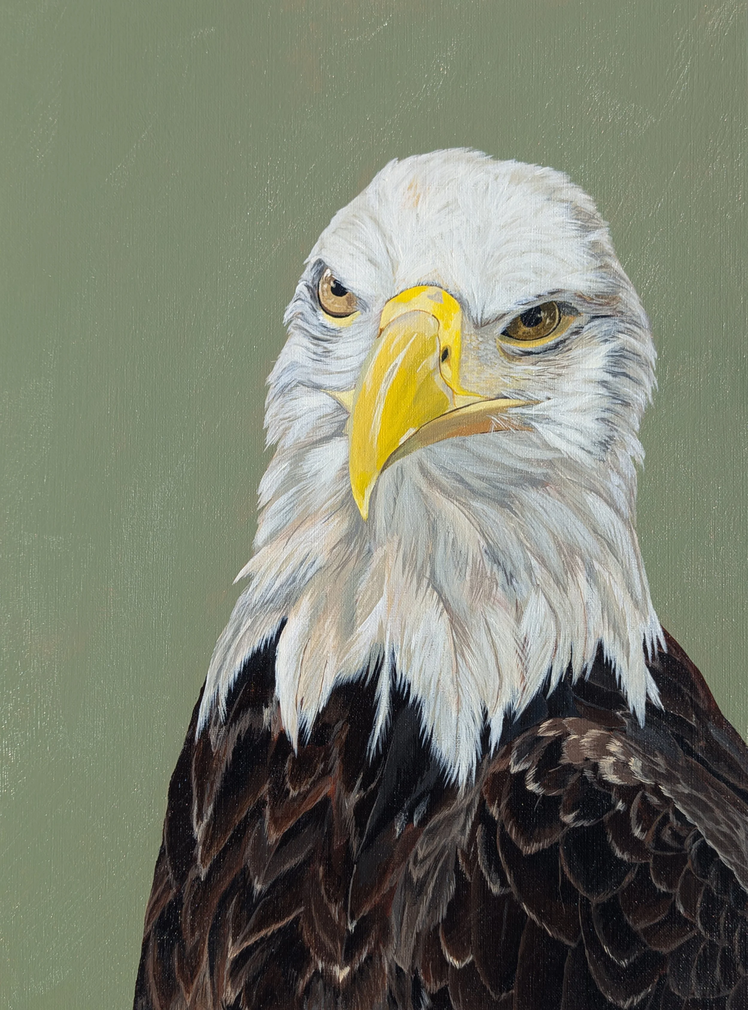 bald eagle painting