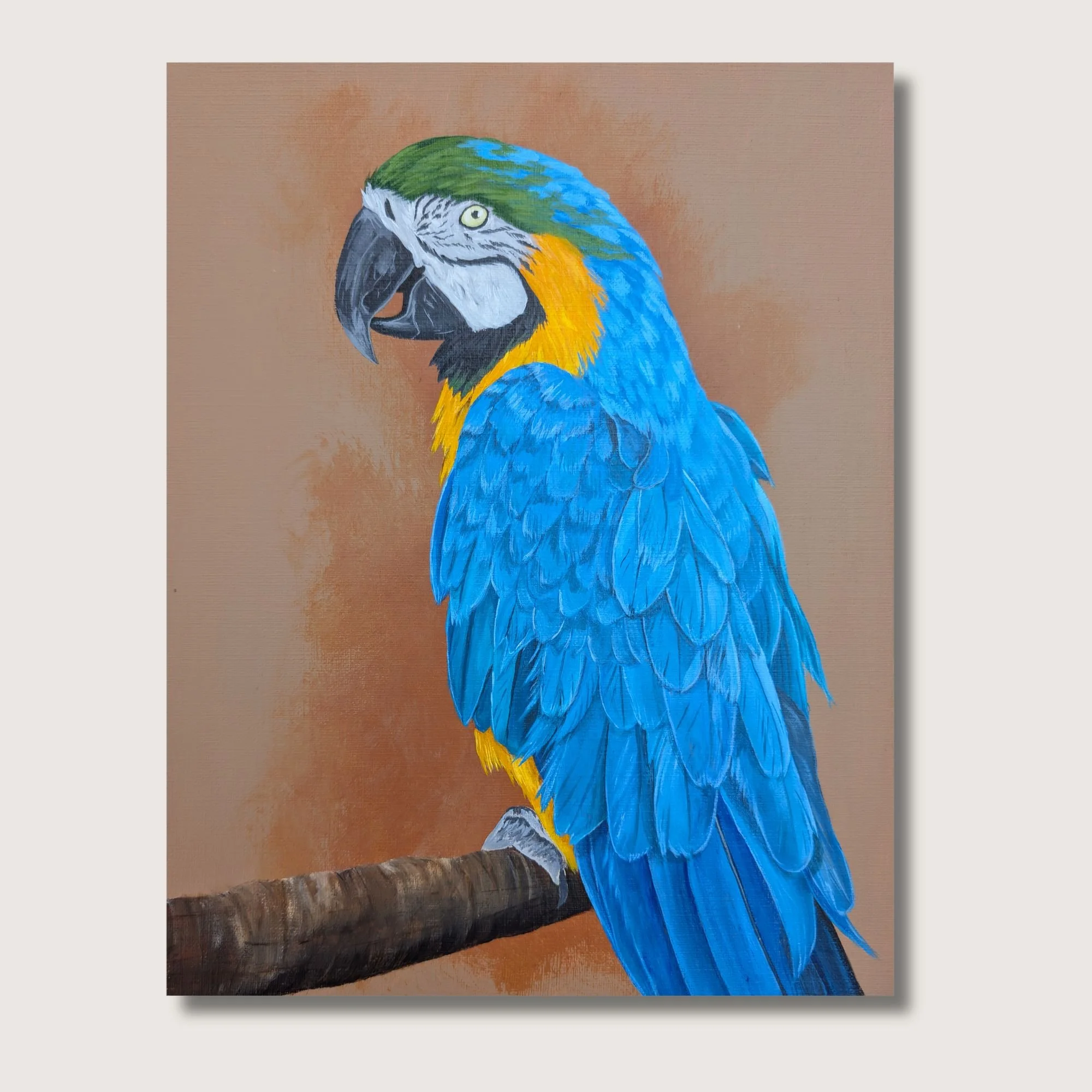 BY Macaw Print Shop Img.jpg